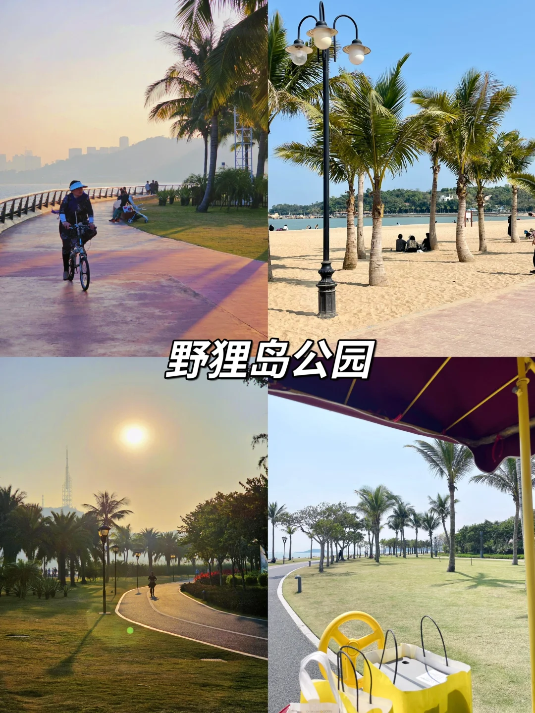 极限珠海一日游📍上班族一天打卡6个景点🔥
