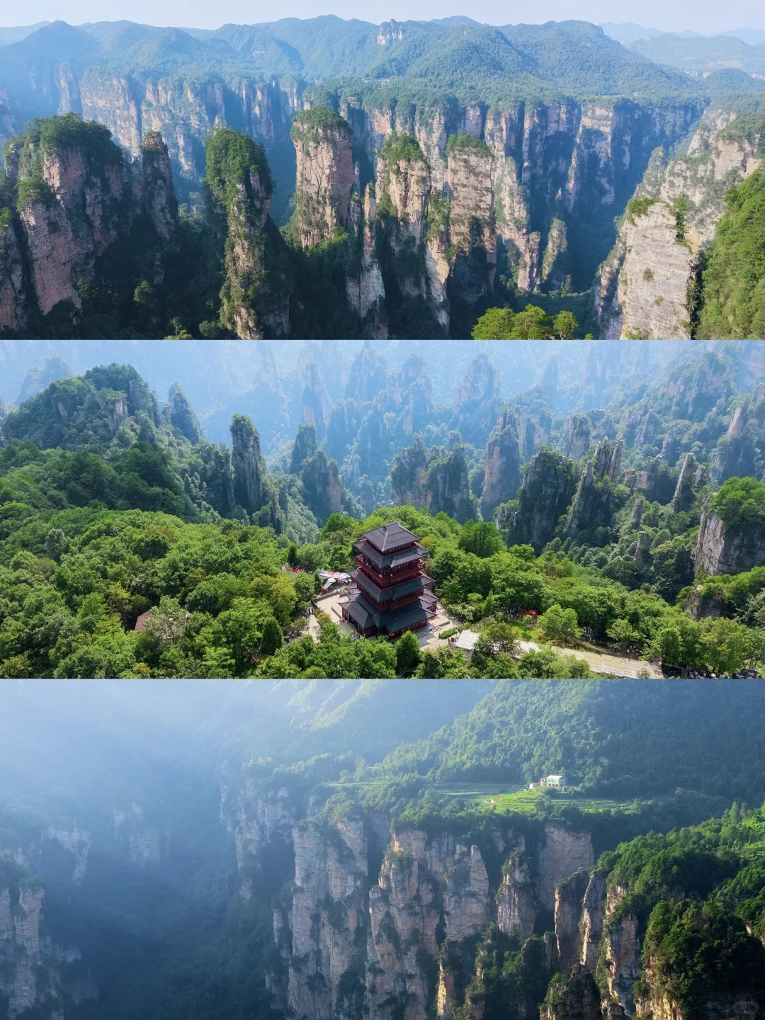 刚从张家界回来😭不愧是此生必去！好绝！！
