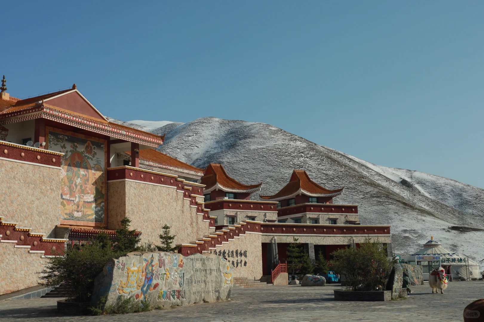 02男大📍旅行第十五站，西宁超详细攻略