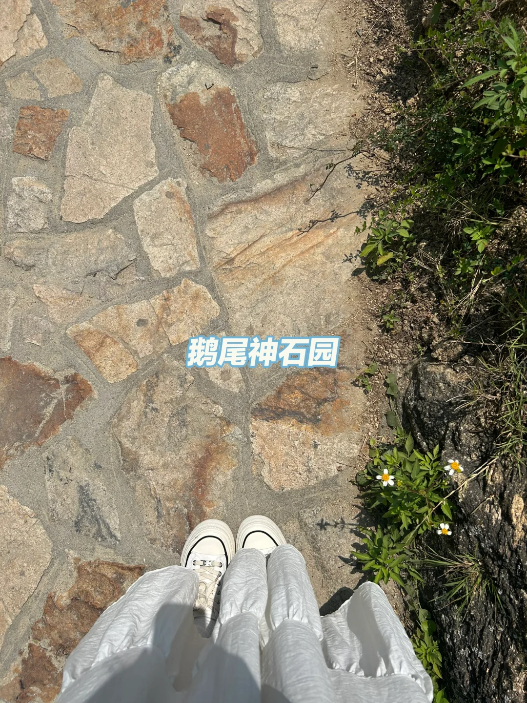 南昌-湄洲岛 一个人畅游湄洲岛三天两晚！