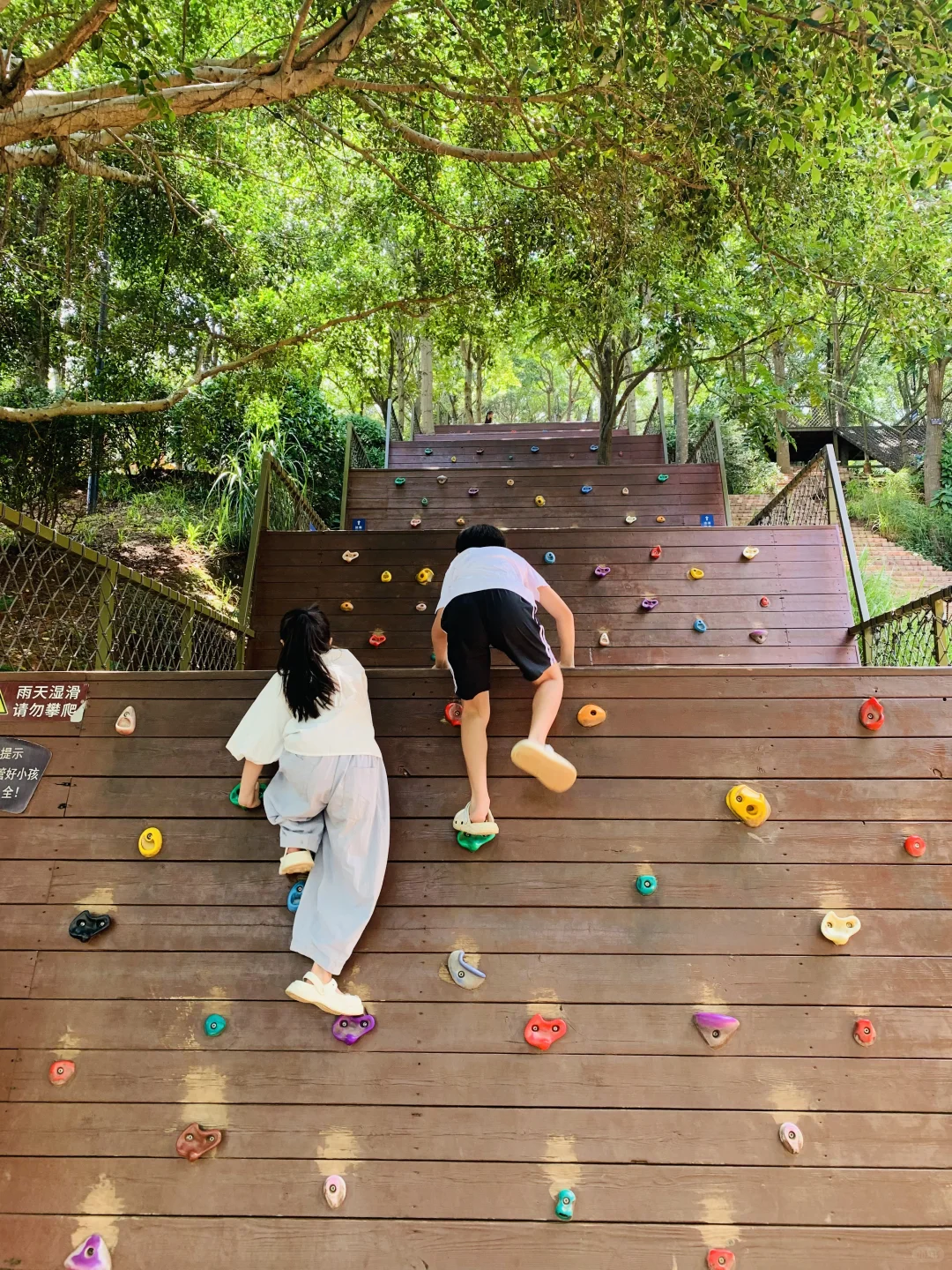 南宁必逛景点‼️青秀山半天精华游路线攻略