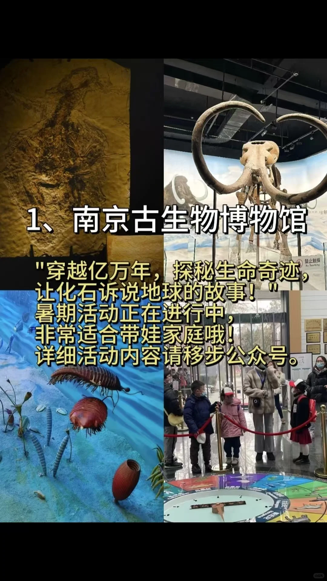 南京小众景点，凉快避暑攻略(¬◡¬)✧