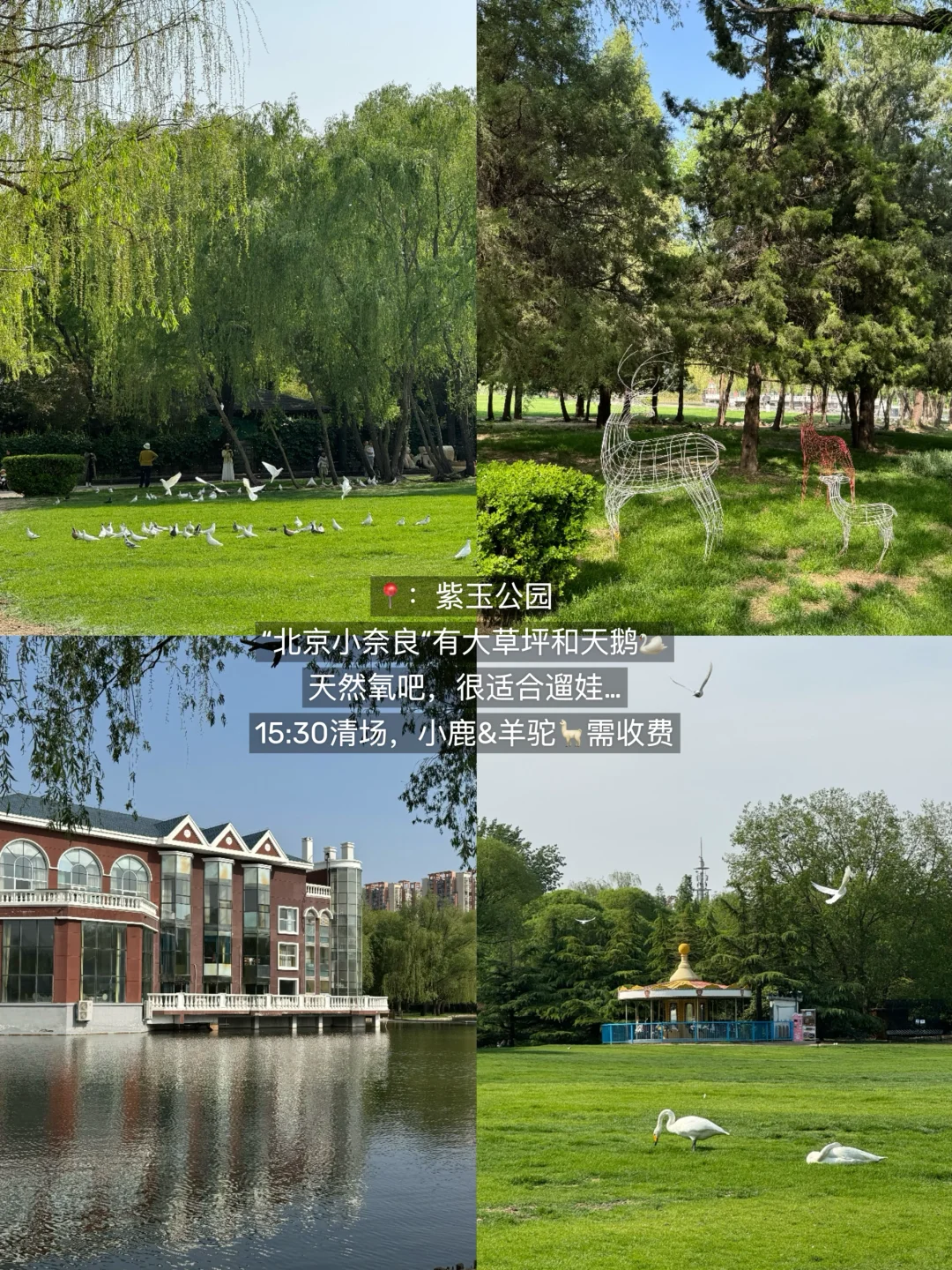 果然。。。北京最牛逼的公园⛲️都是免费的！！！