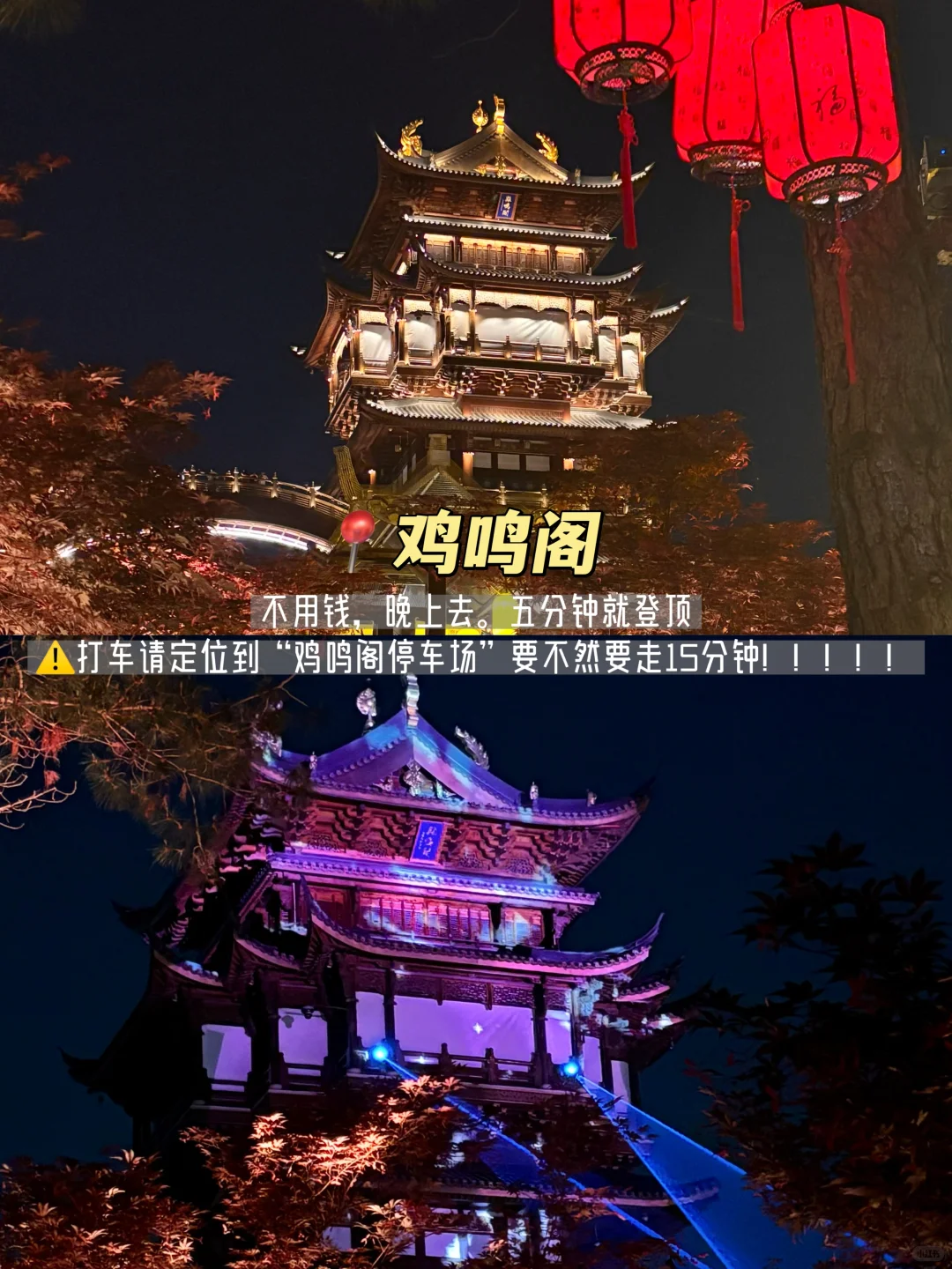 世界义乌两天一夜🥹J人亲测不费腿保姆攻略