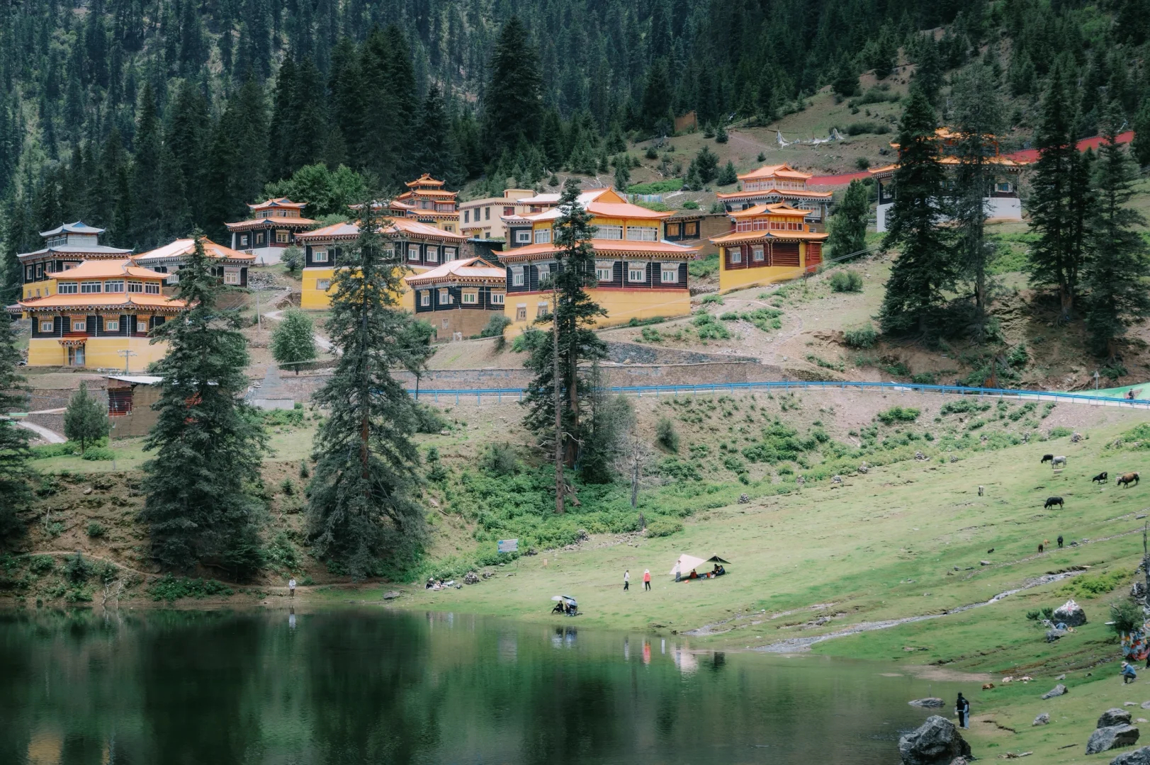 川西又一神级风景，沦为景区。