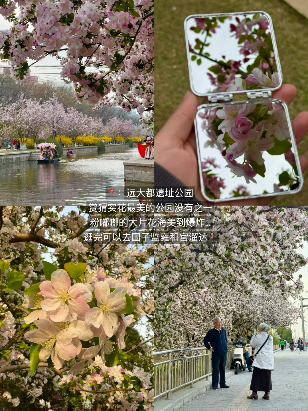 果然。。。北京最牛逼的公园⛲️都是免费的！！！