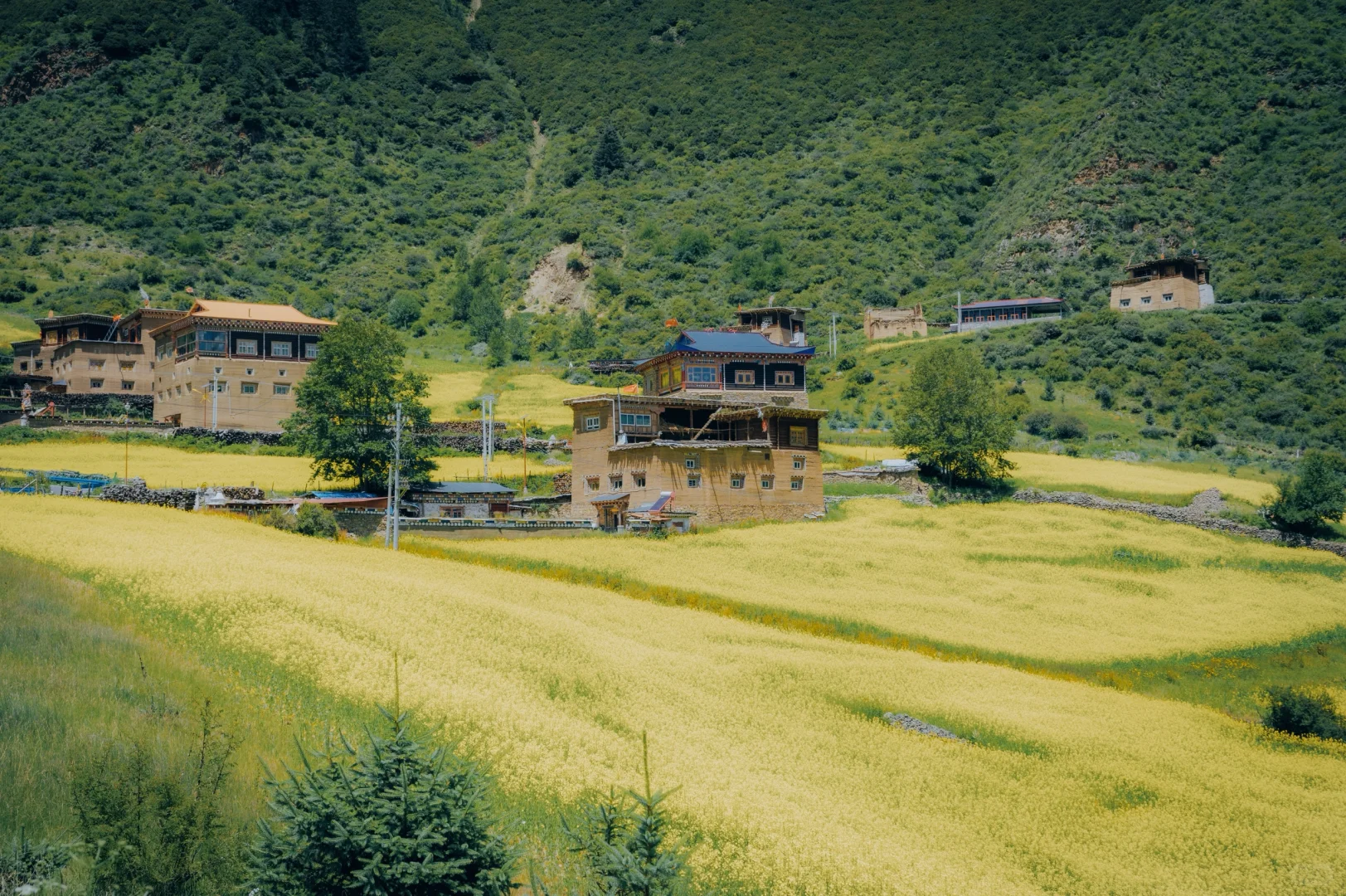 川西又一神级风景，沦为景区。