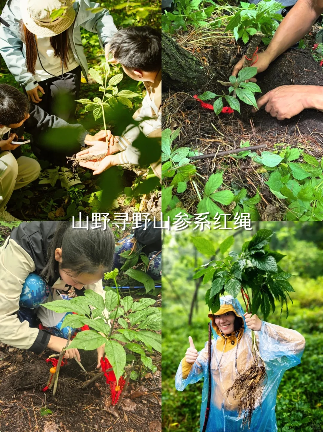 暑假避暑去22℃的长白山！私人定制游超好玩