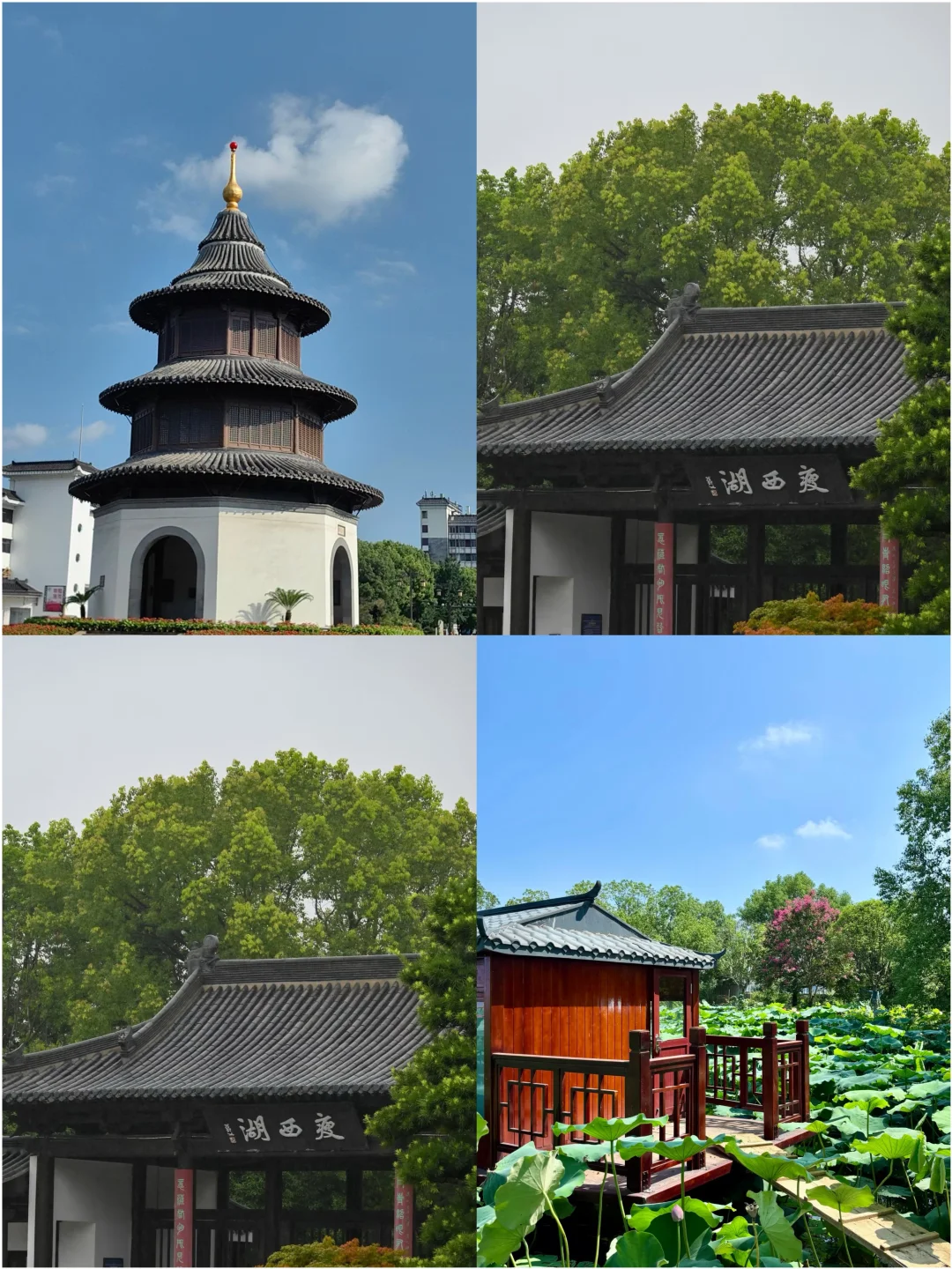 带爸妈出游必看！不挤不累的宝藏城市攻略