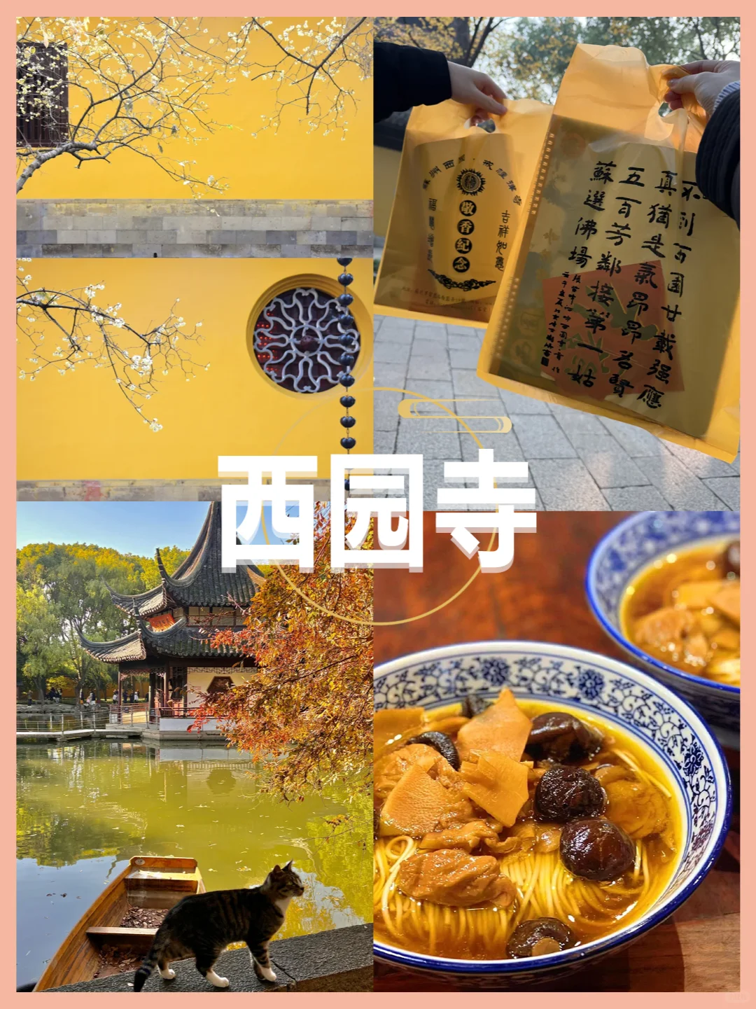 苏杭旅游攻略🔥带家人游玩4天仅需800+