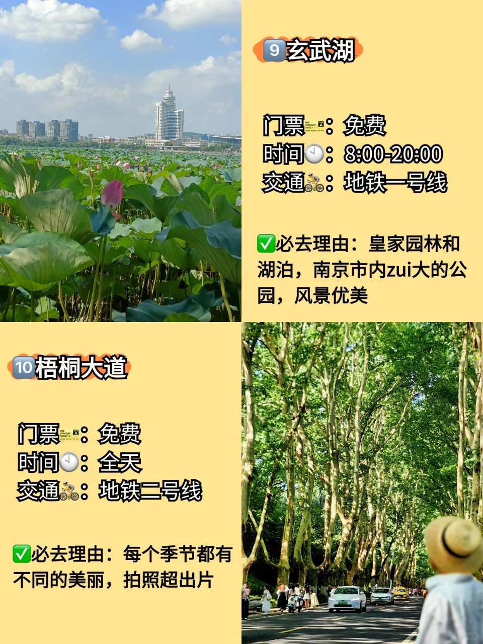 南京旅游攻略，重点是排雷