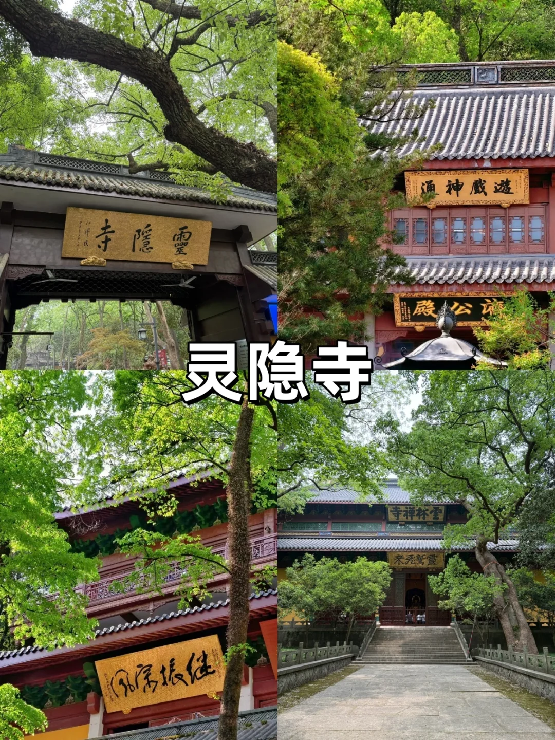 6-8月杭州旅游攻略这篇说白了！快🐎住