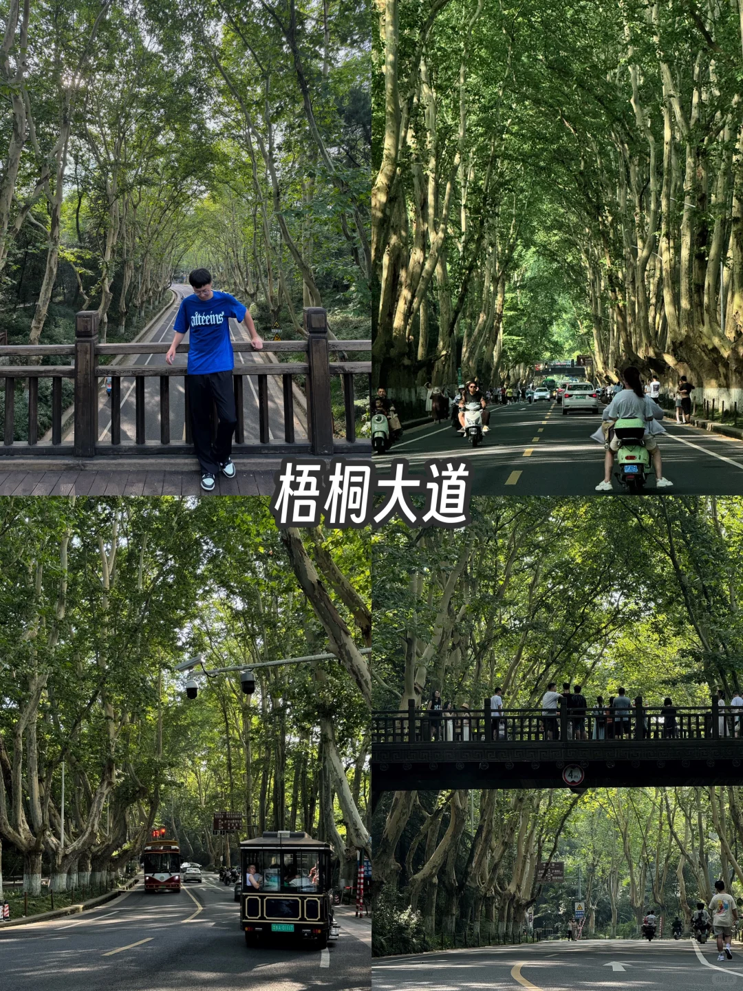 南京旅游攻略，3天2晚总消费271元