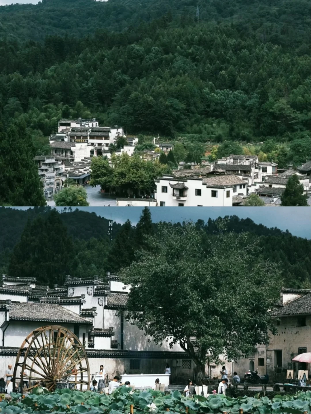 暑假黄山必打卡景点！