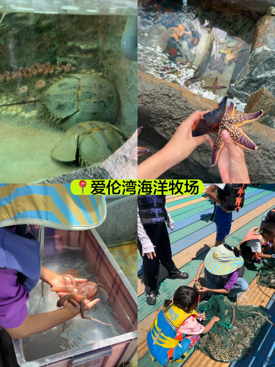 荣成！我唯一想推荐的海边小城！小众人少攻略