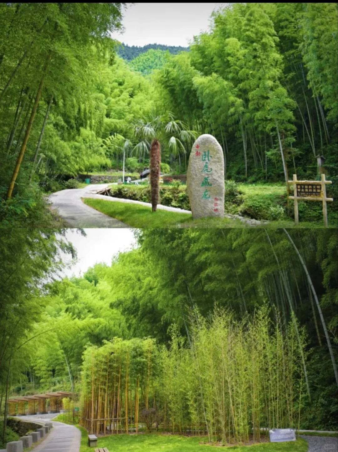 暑假黄山必打卡景点！