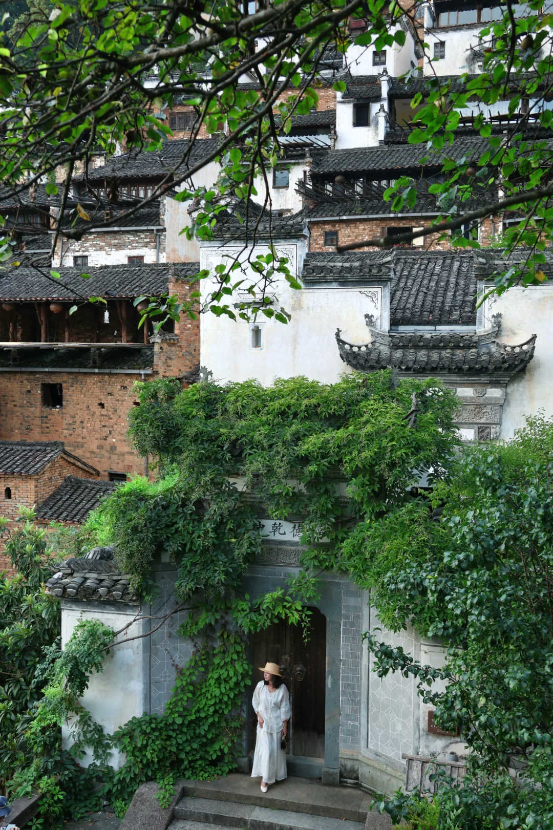 去了婺源33次，我唯一安利的夏日避暑路线…