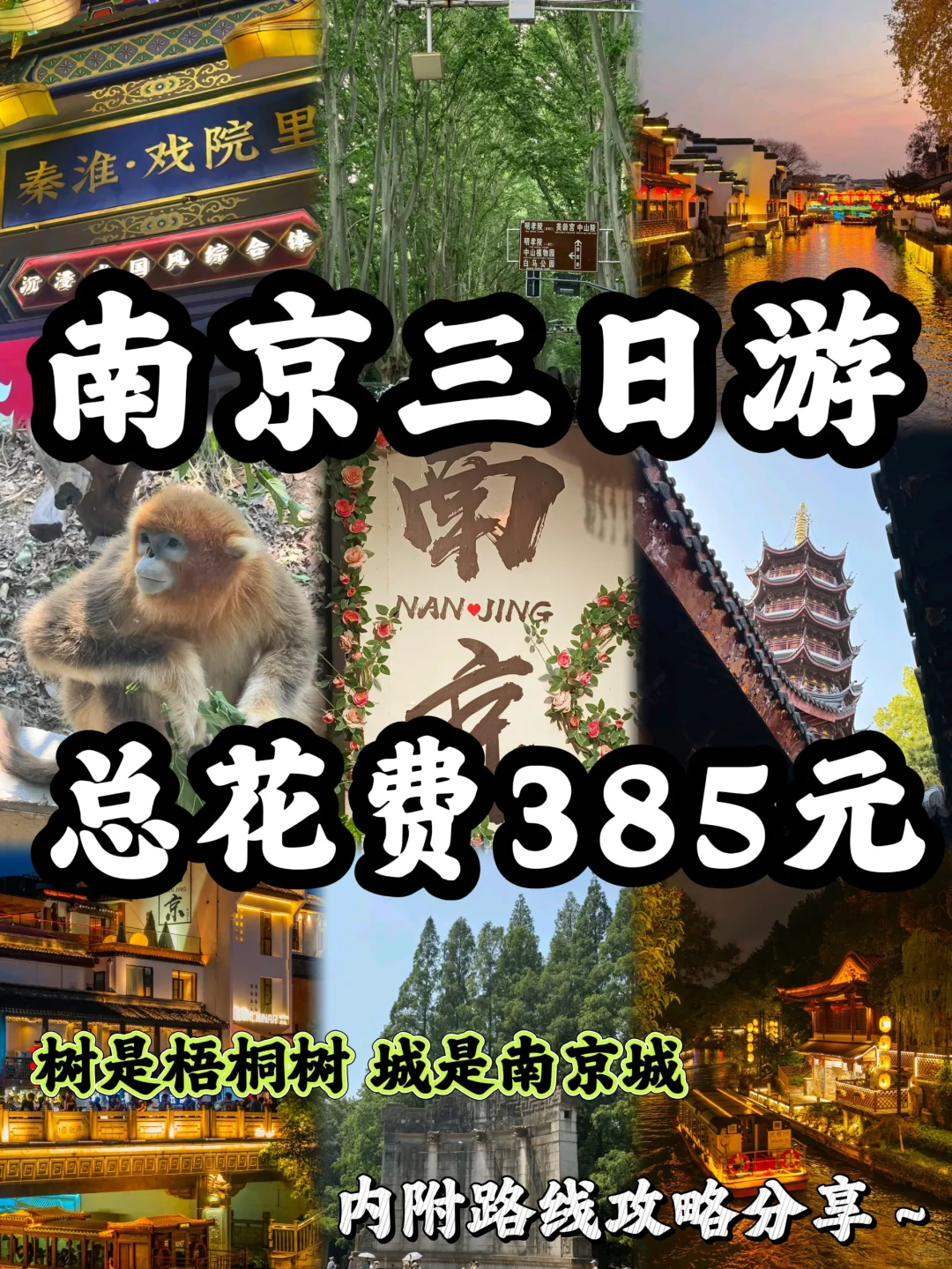 04女大📍南京三日游/保姆级路线攻略分享~