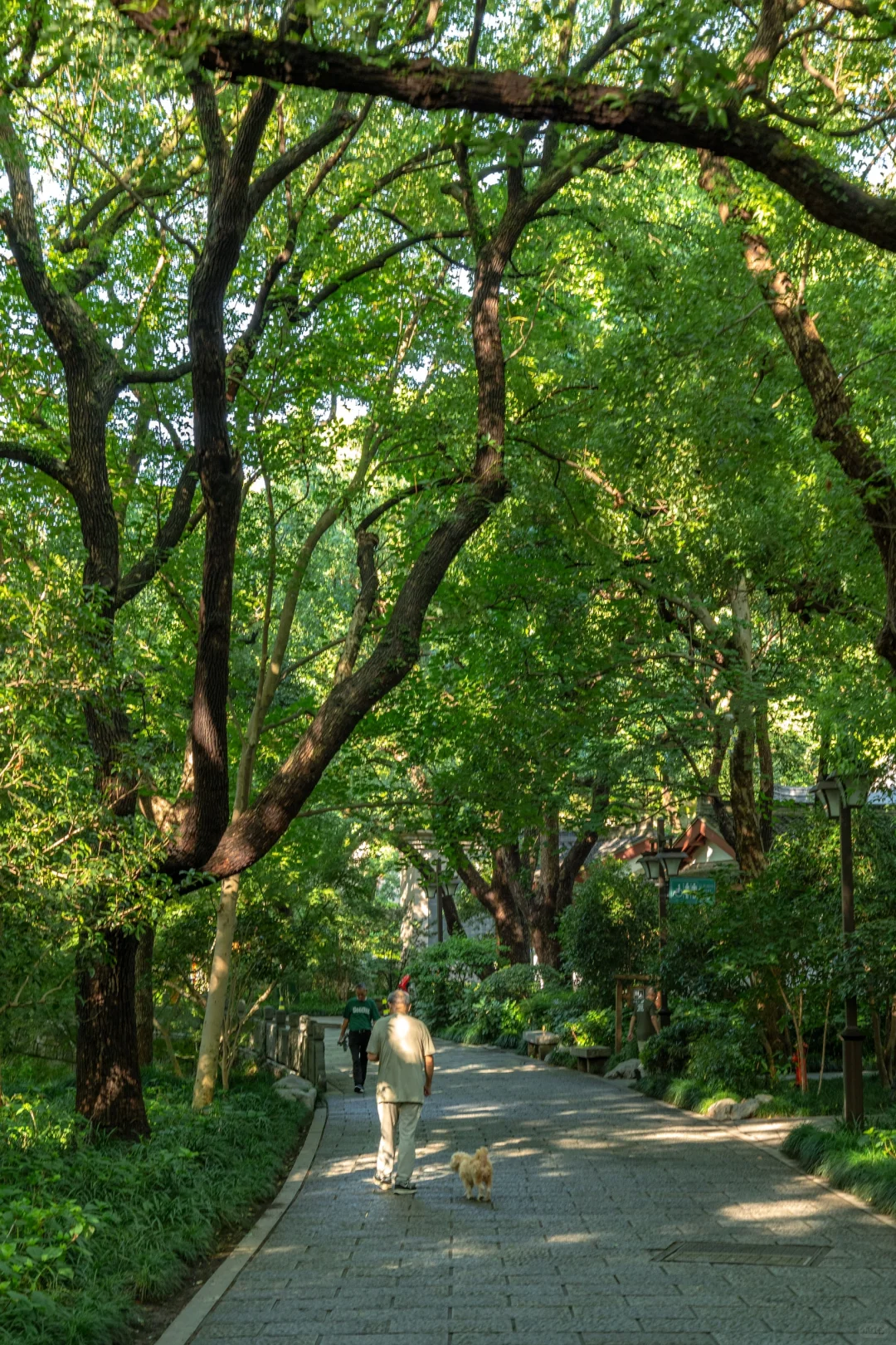 来杭州别只去西湖！强推小众citywalk路线