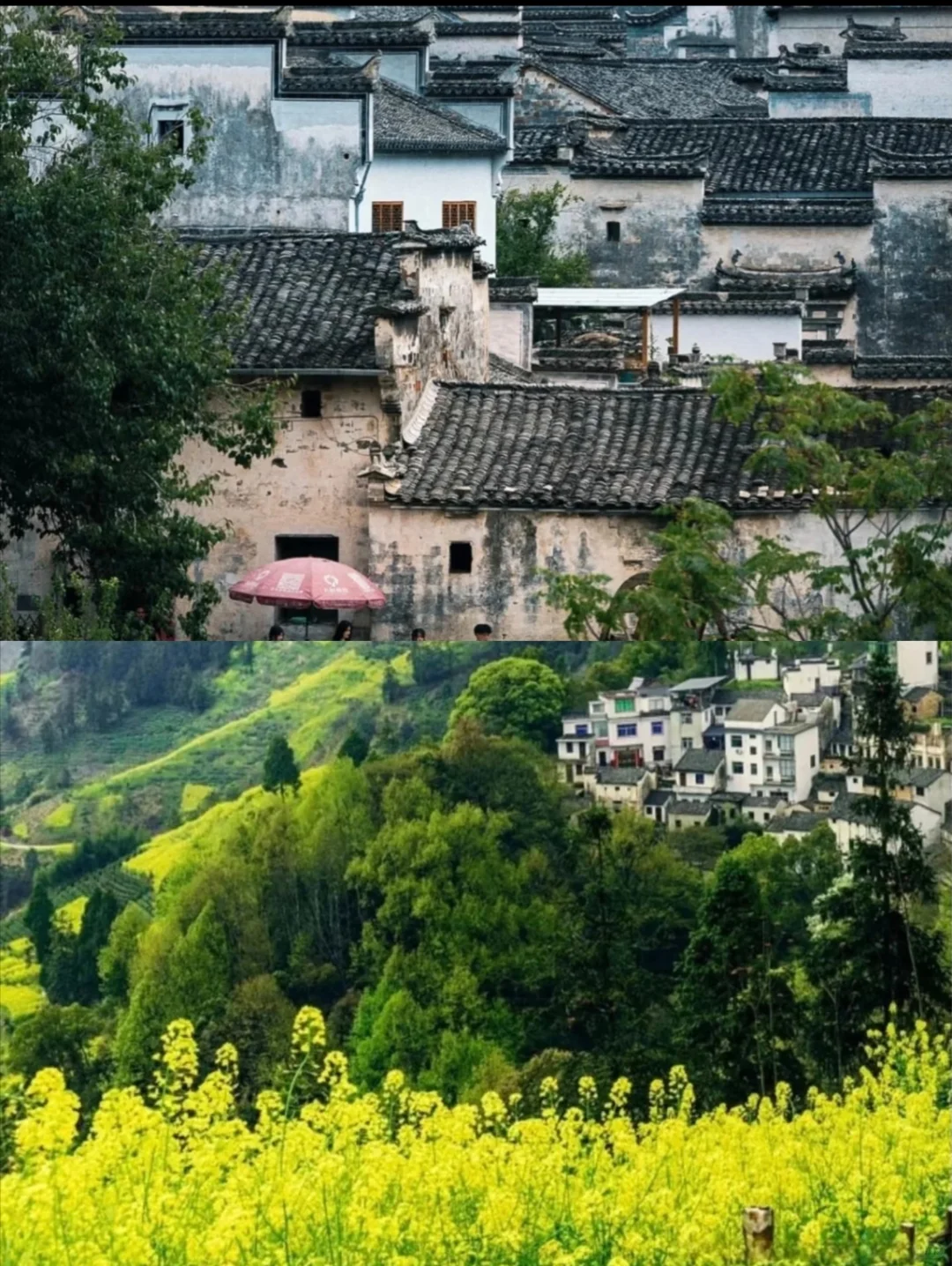 暑假黄山必打卡景点！