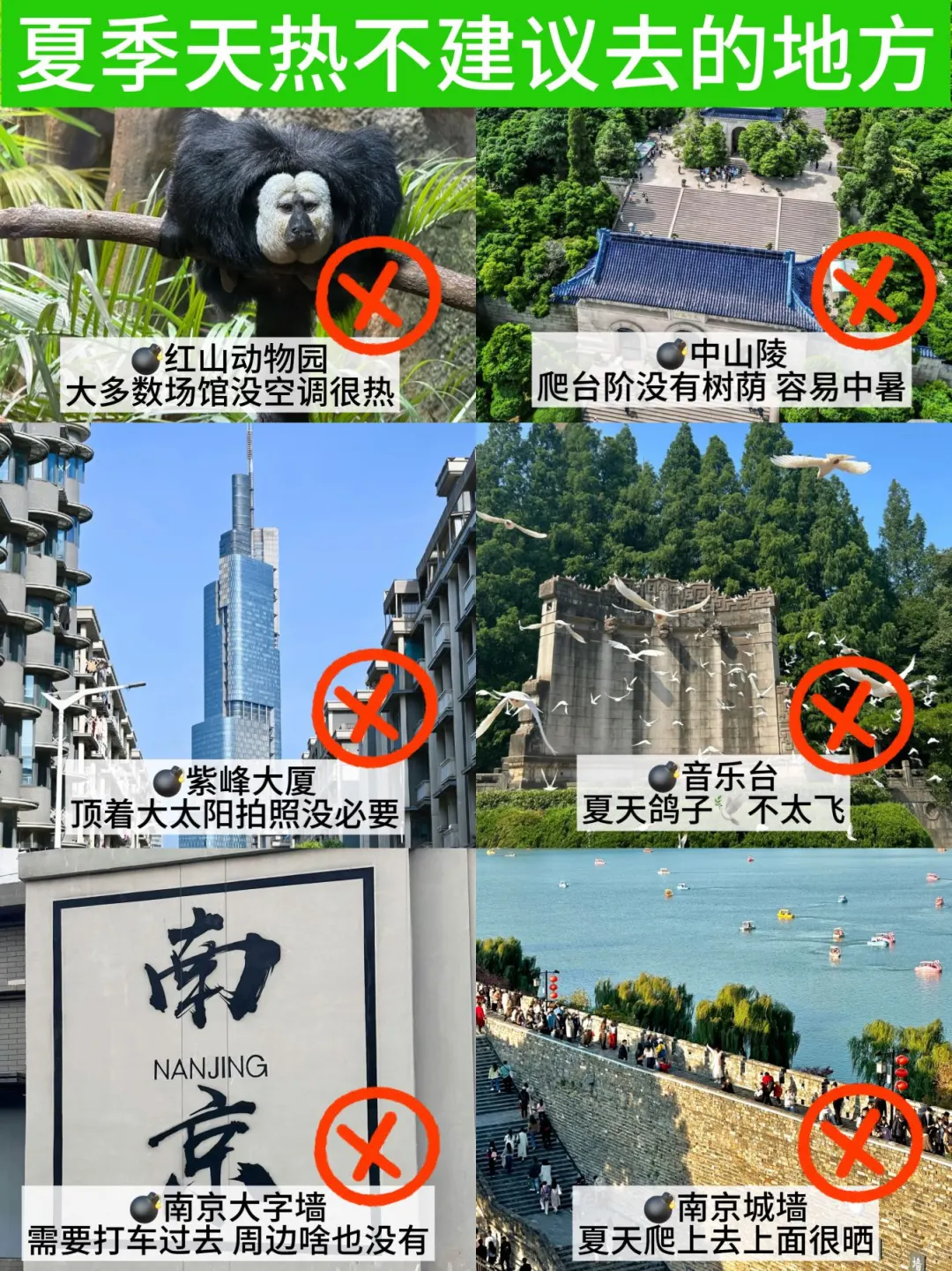 📍8.2南京已回，和xhs说的两模两样😫