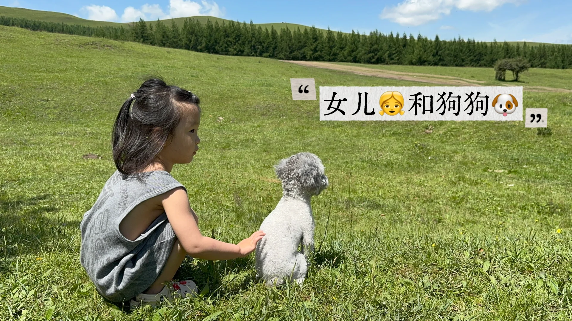 免费草原随便跑，教师暑假低成本方式
