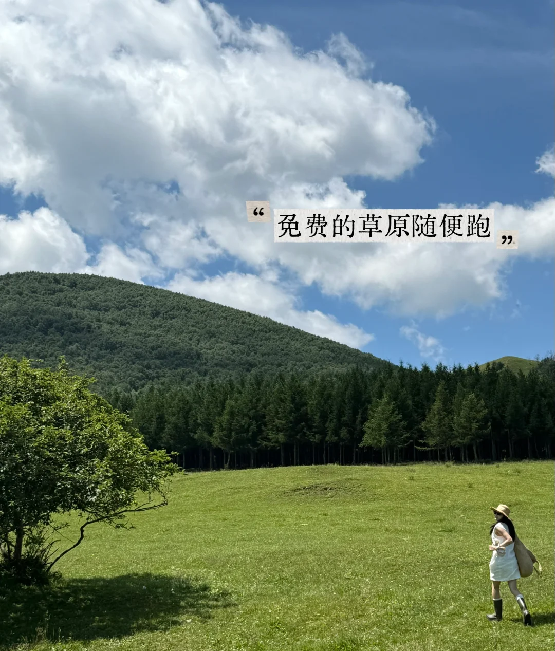 免费草原随便跑，教师暑假低成本方式