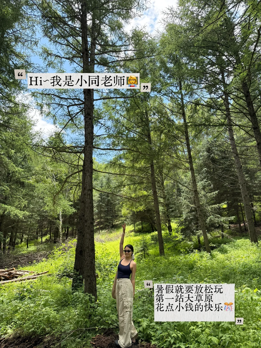 免费草原随便跑，教师暑假低成本方式