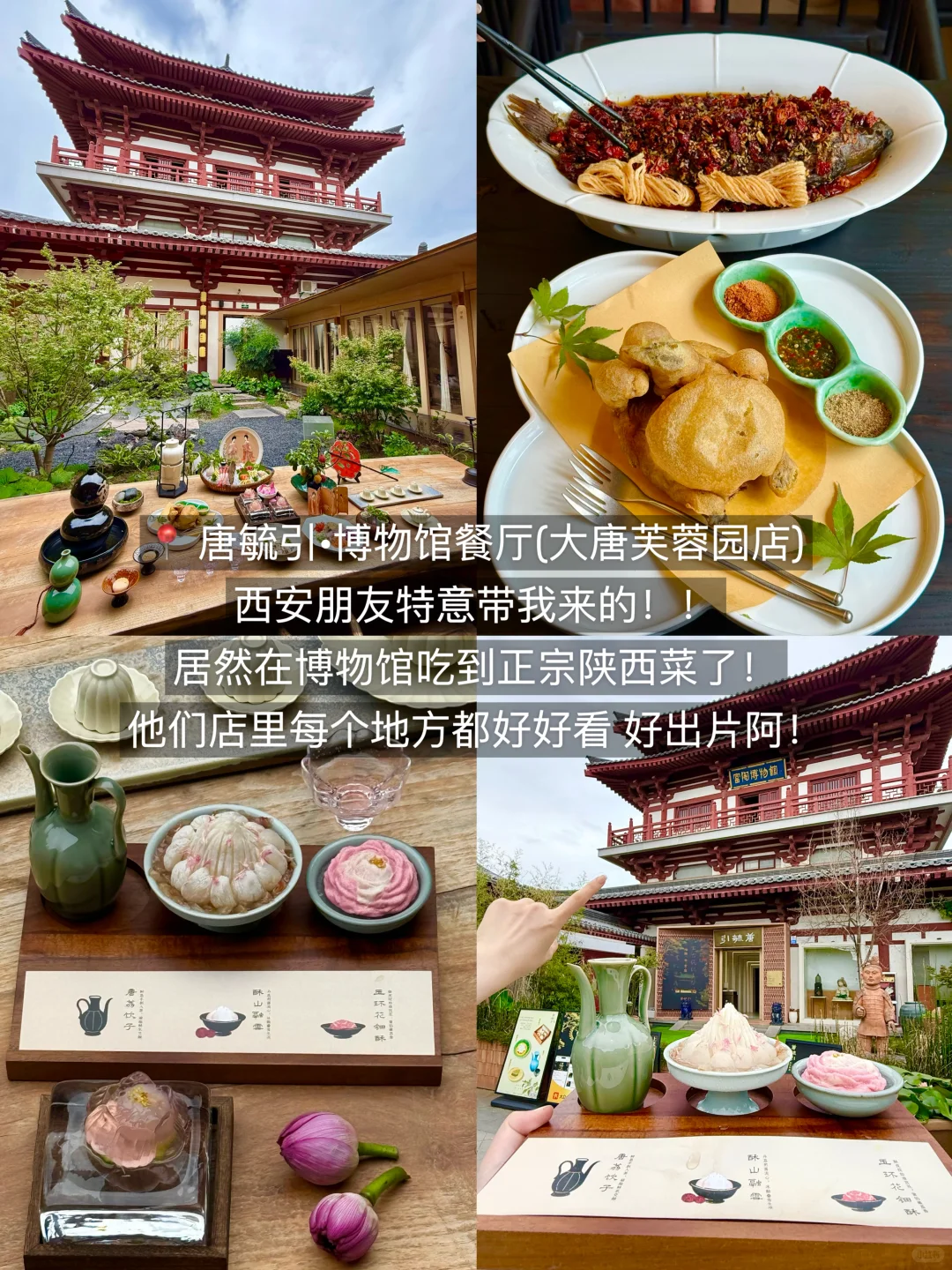 西安已回！！我的建议是。。。