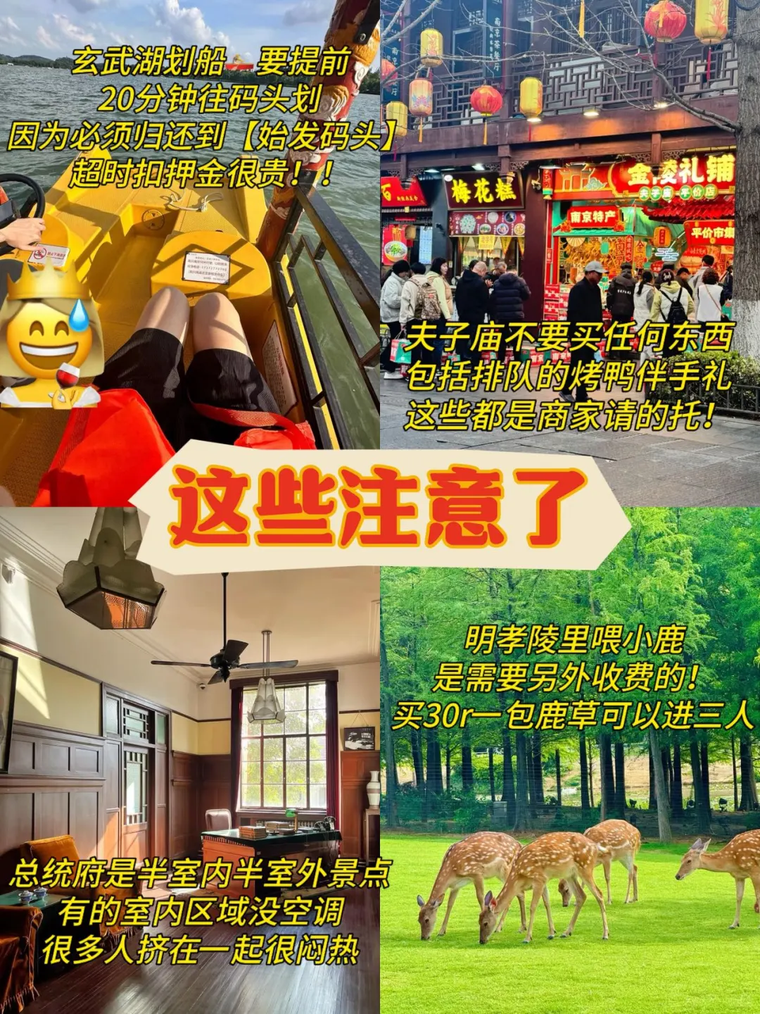 📍8.2南京已回，和xhs说的两模两样😫