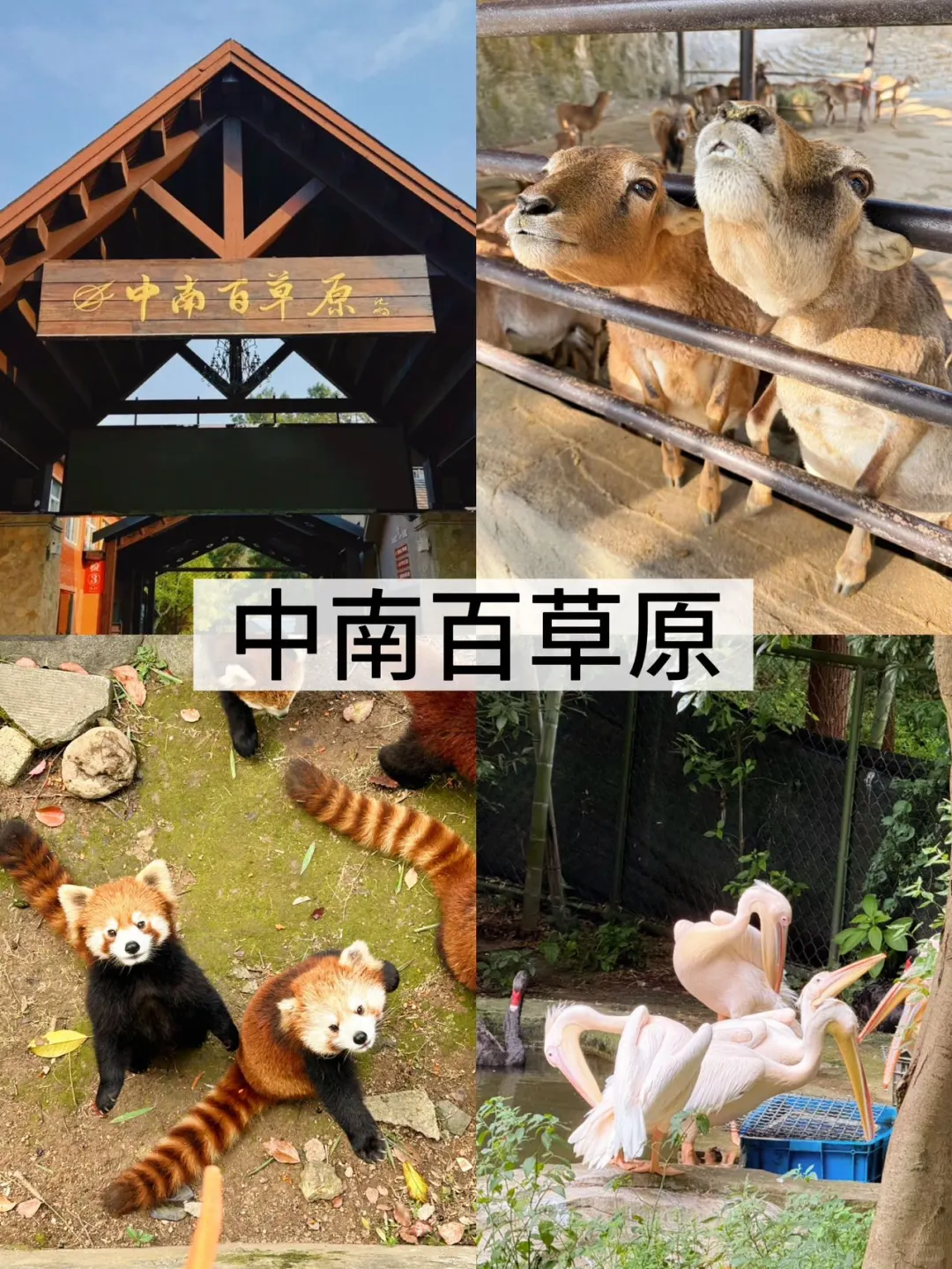 湖州旅游✨ 放松不费脚游玩路线推荐