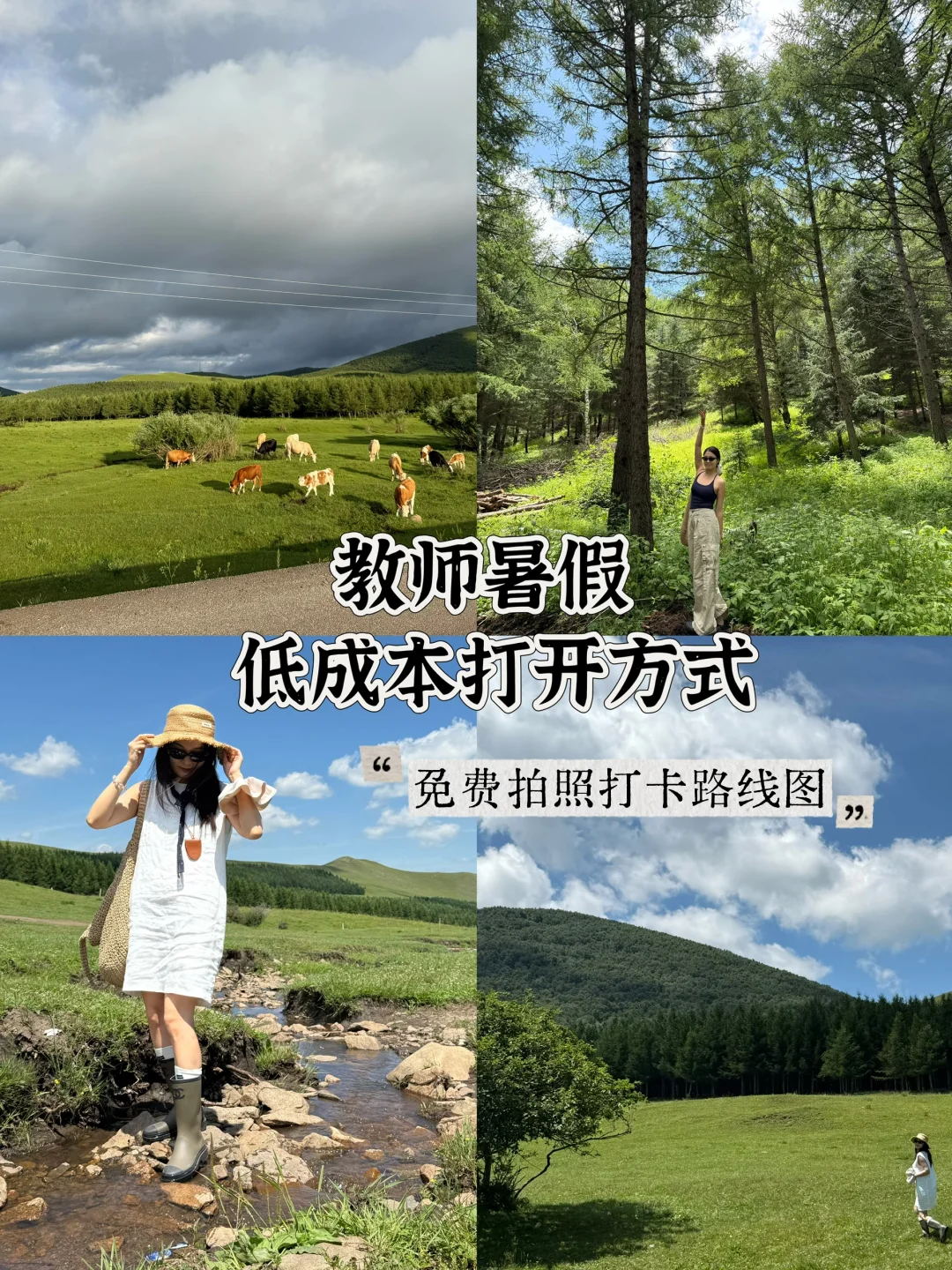 免费草原随便跑，教师暑假低成本方式