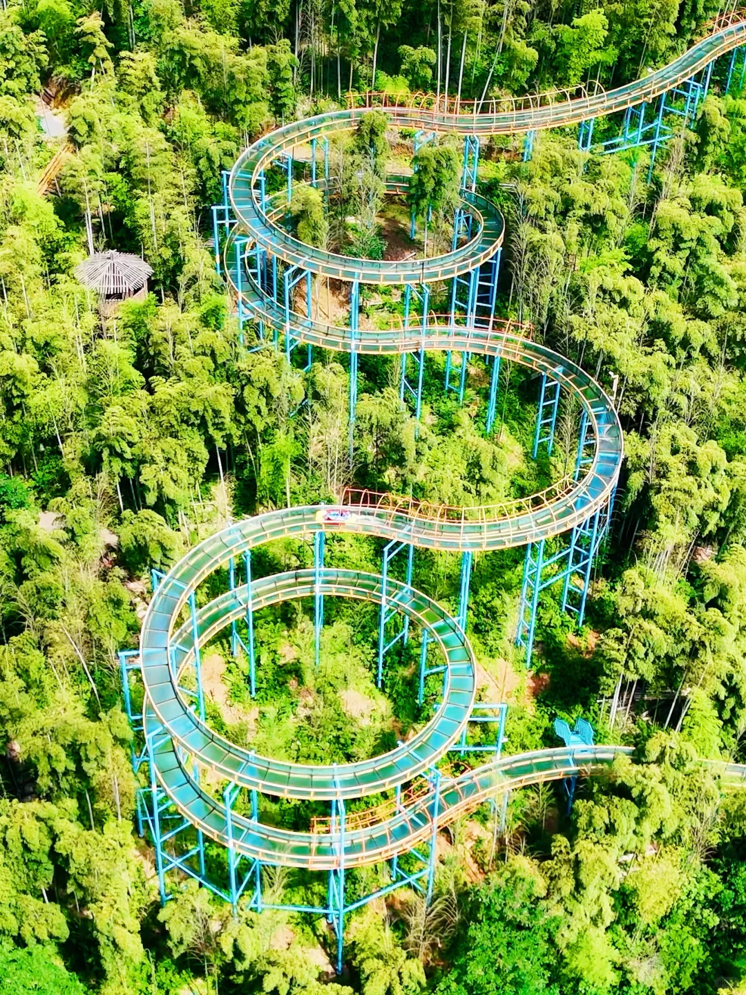 小红书跟风超成功🍃后悔才带娃来安吉❗️