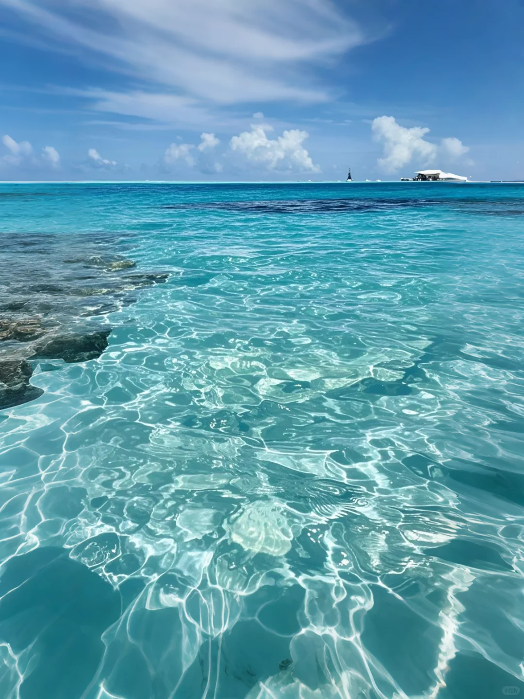 平潭真的会藏，这片果冻海浮潜也太绝了吧！
