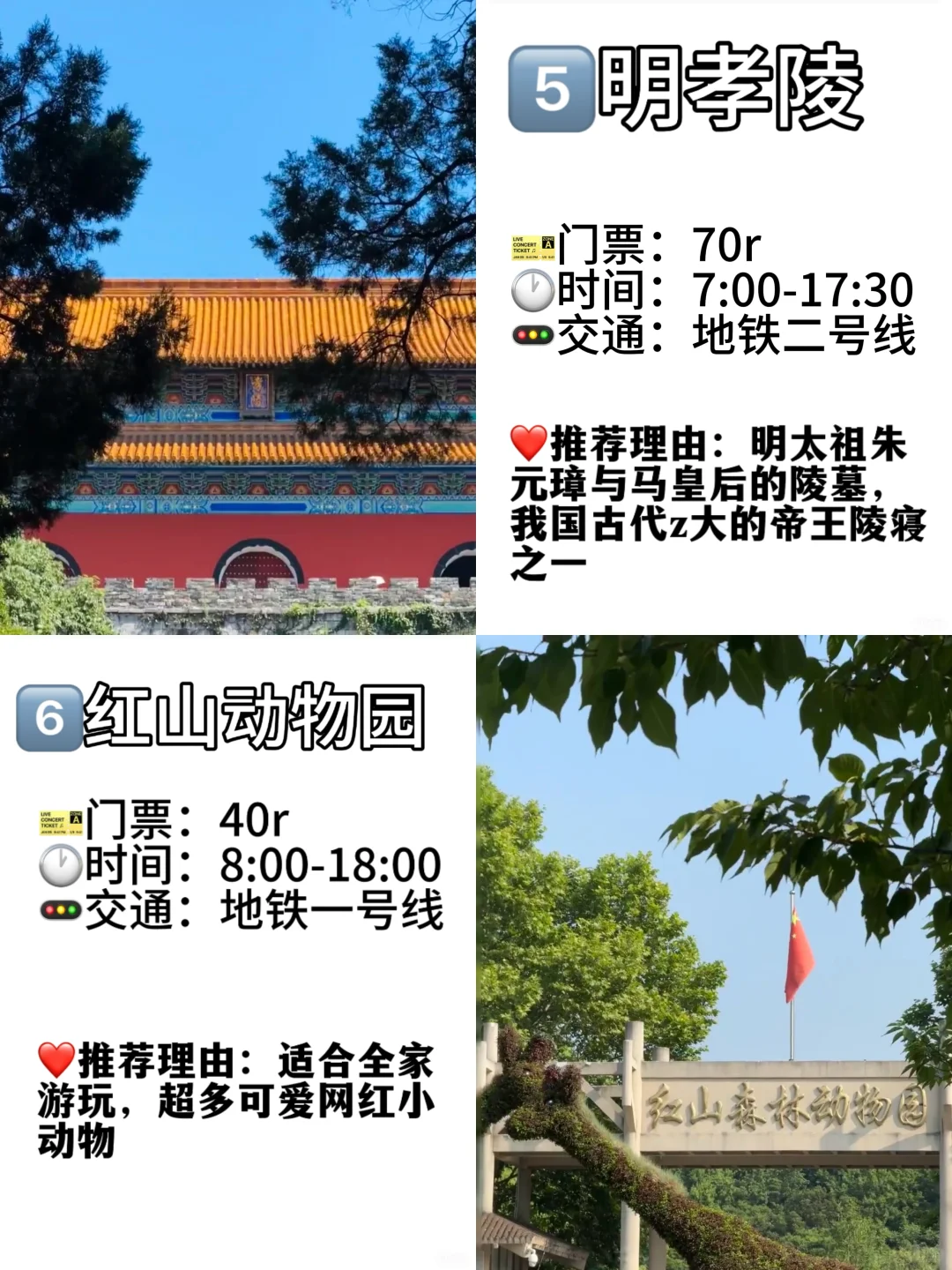 📍南京必去的九大景点‼️旅游前必看❗️