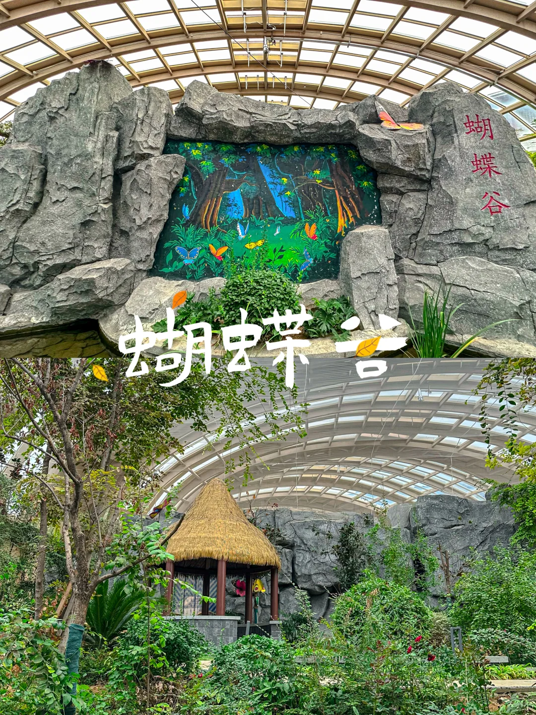49.9泰山石敢当景区夜场游玩攻略！！