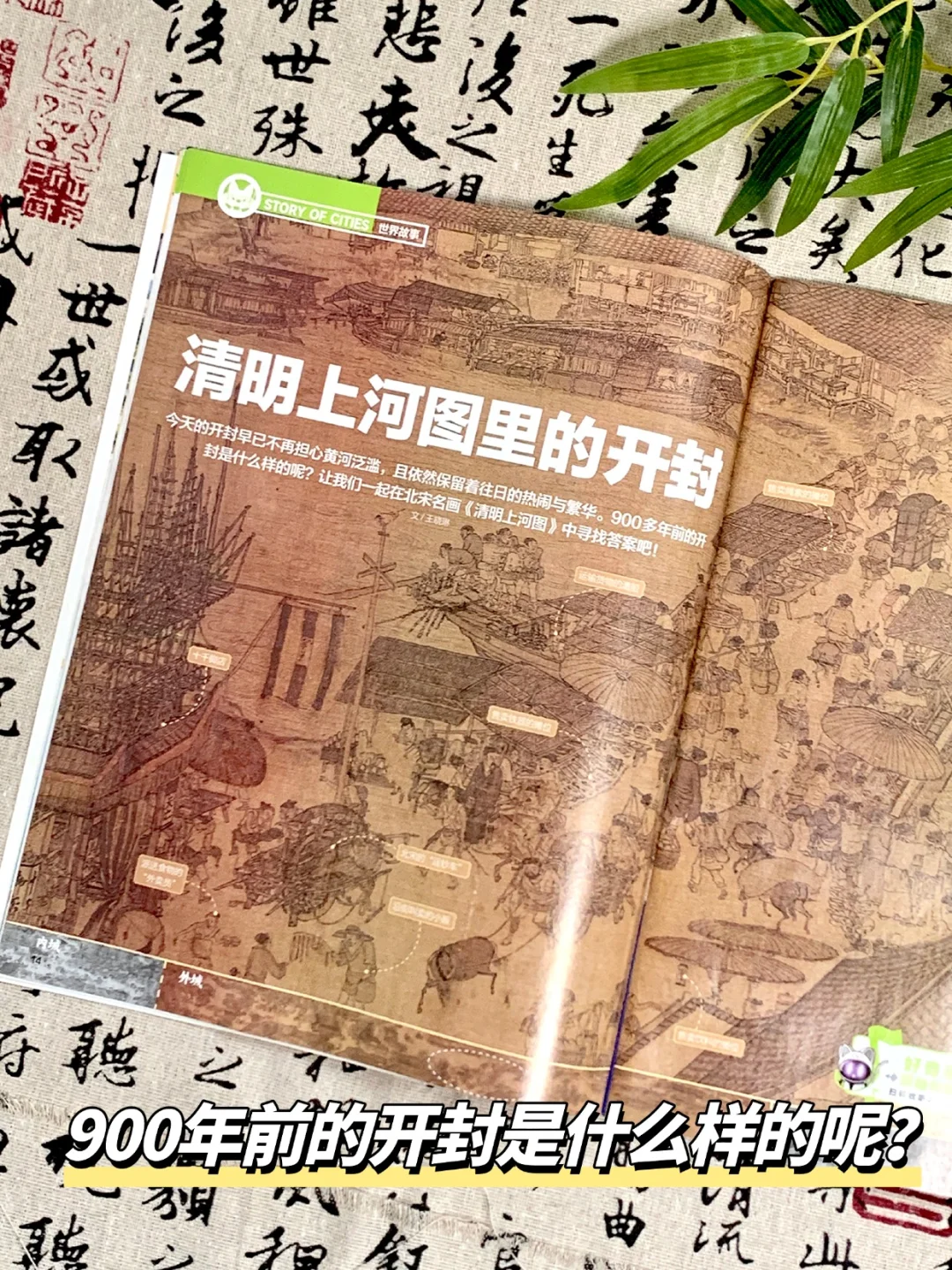 跟着书本去旅游，打卡中国热门城市！
