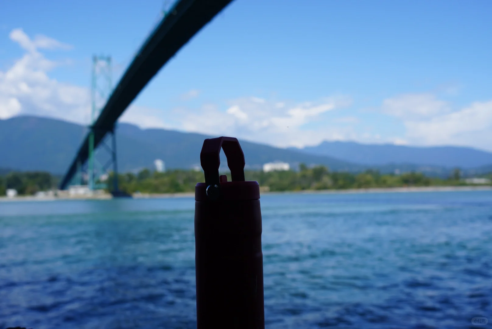 去加拿大旅游的花费