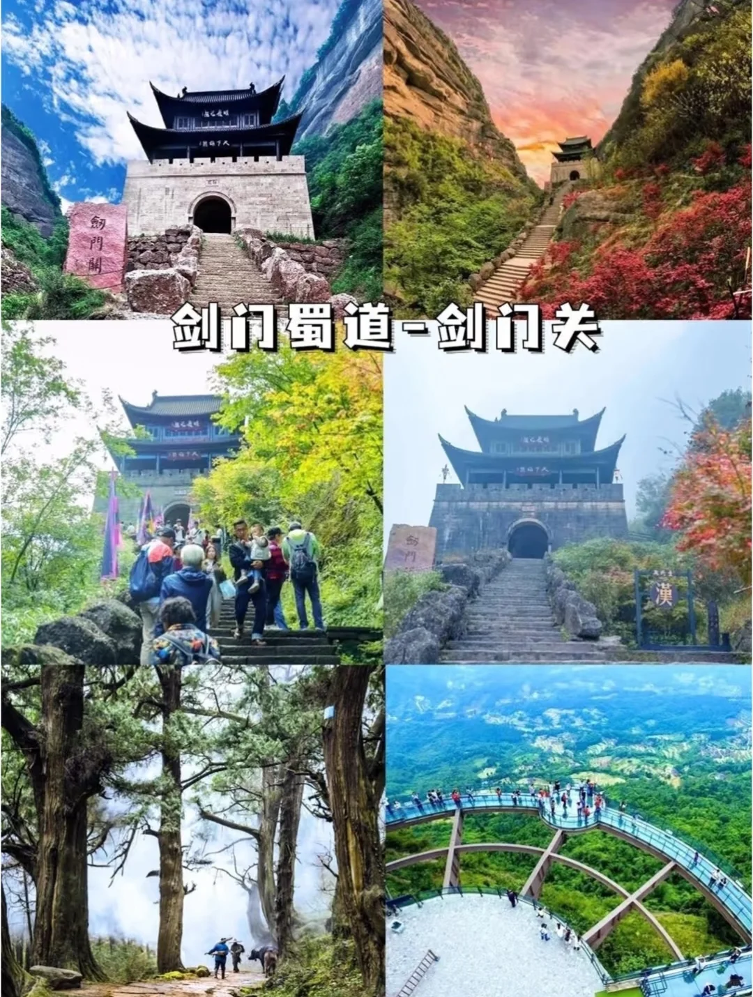 ⛰️四川旅游，看这一篇就够啦🌸🍃🀄️🐻四