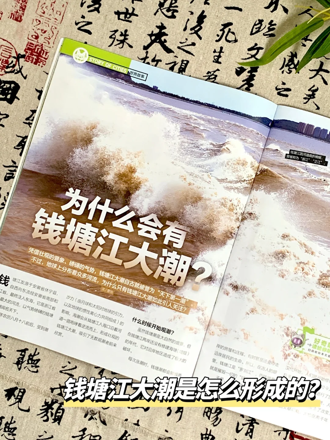 跟着书本去旅游，打卡中国热门城市！