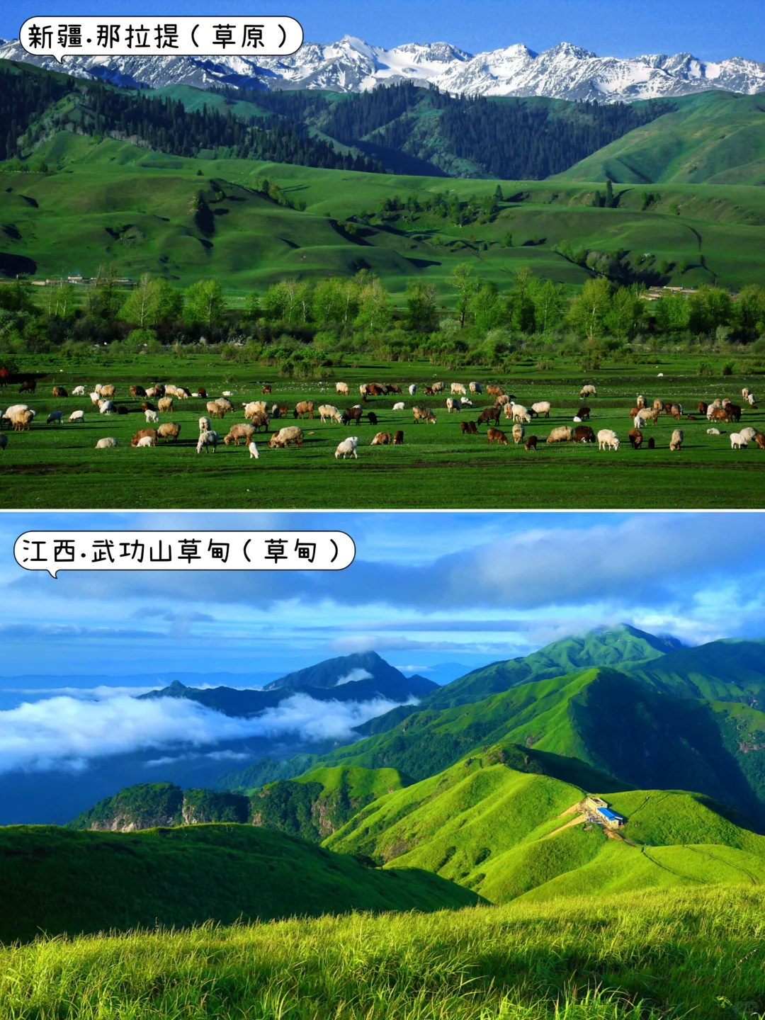 ✨国内9-11月去哪玩？｜中秋.国庆.秋天旅游