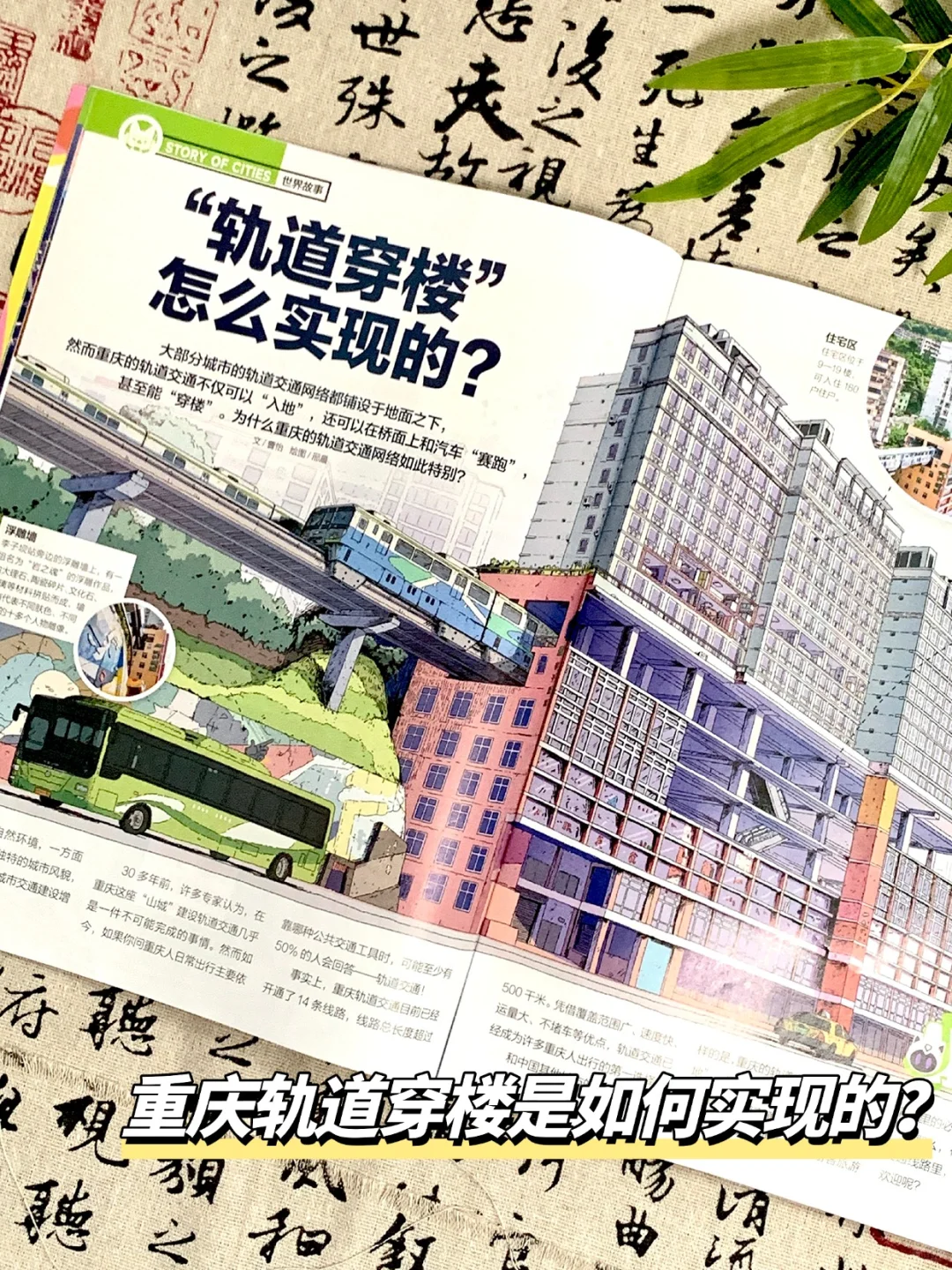 跟着书本去旅游，打卡中国热门城市！