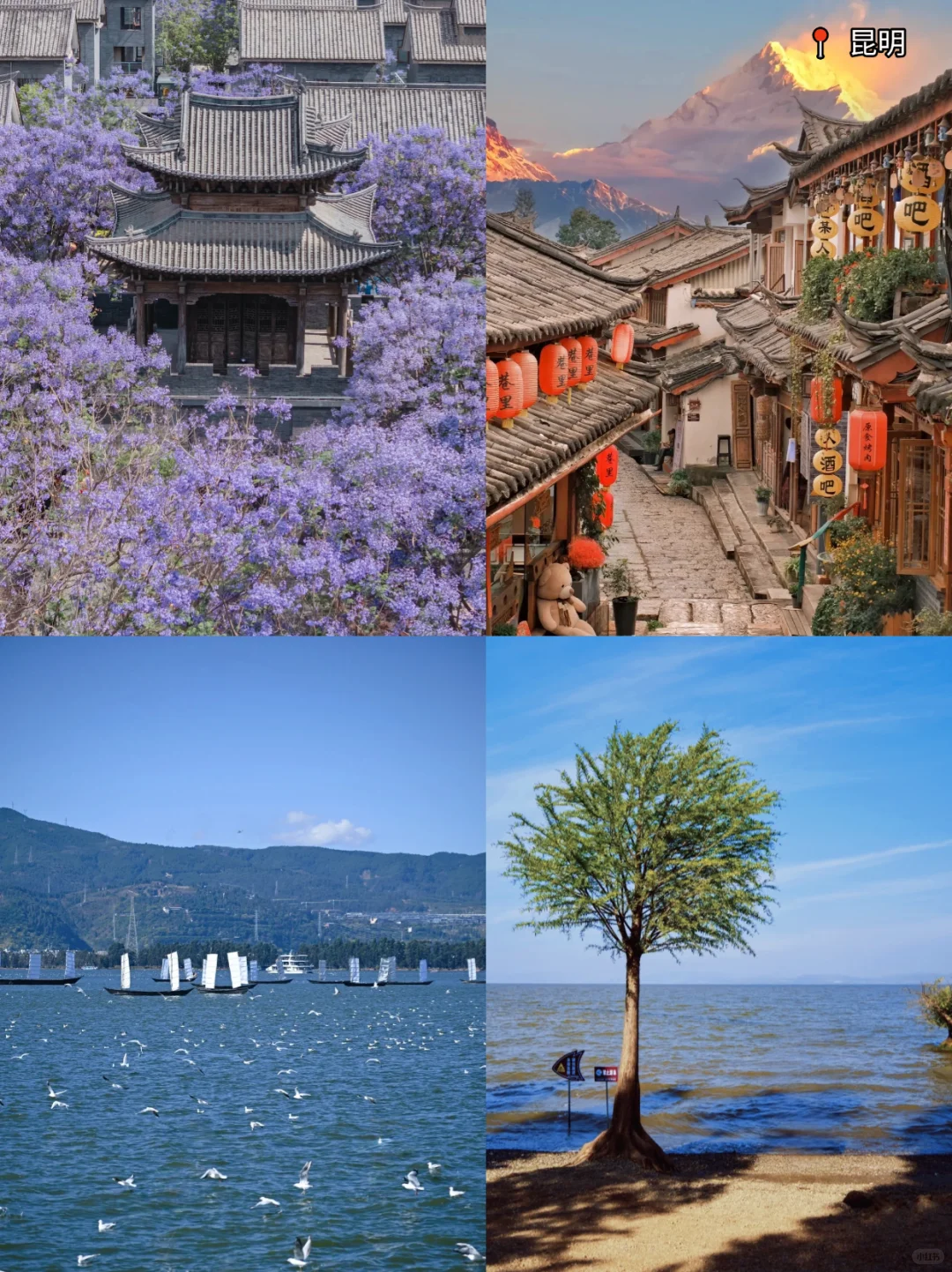 均温约24℃，苏州出发直达的10个避暑城市！