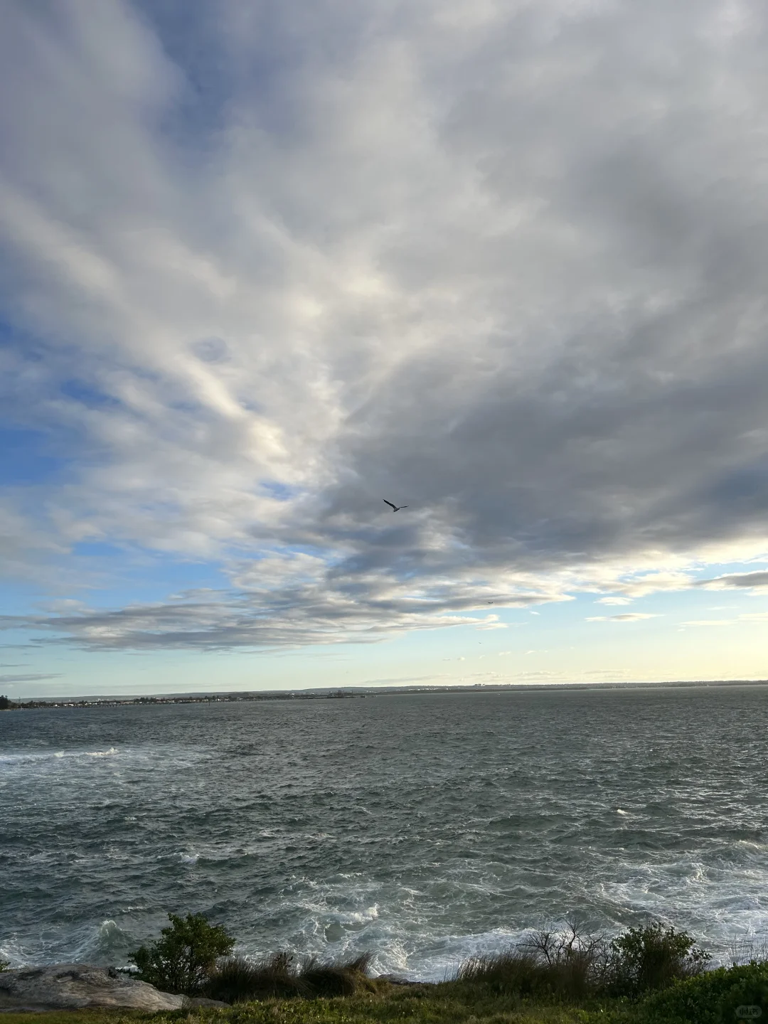 澳洲海景live