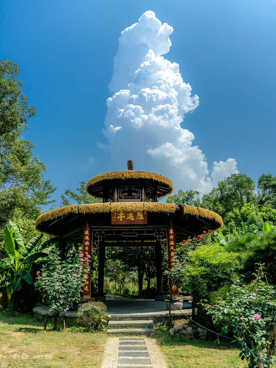 东湖落雁，就是个巨大的绿色能量场🌿