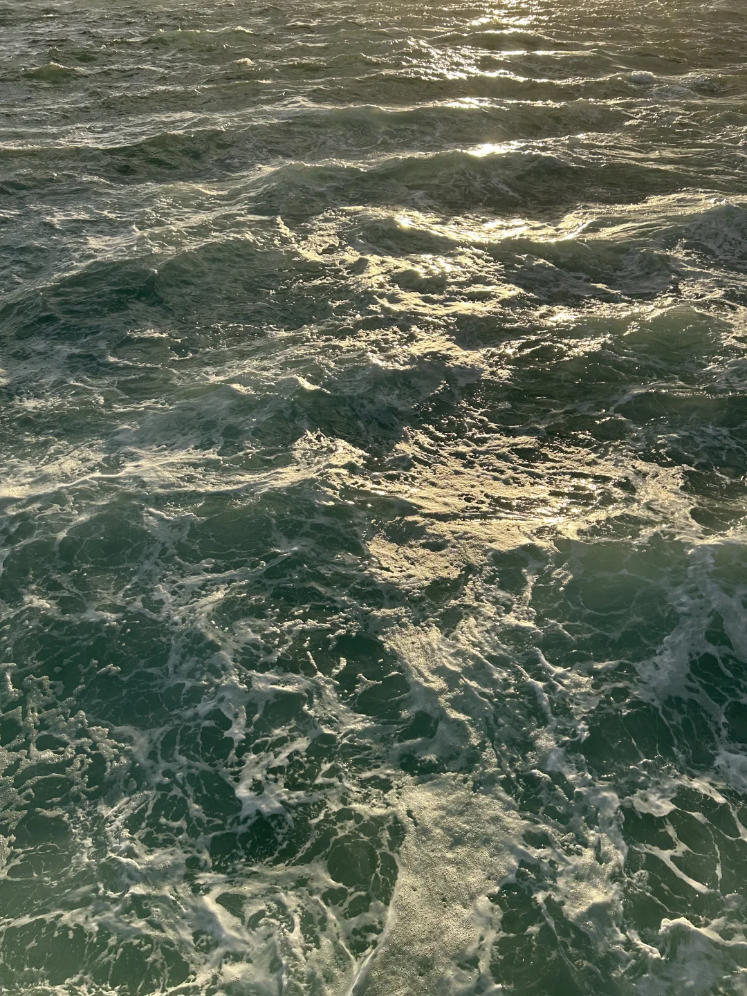 澳洲海景live