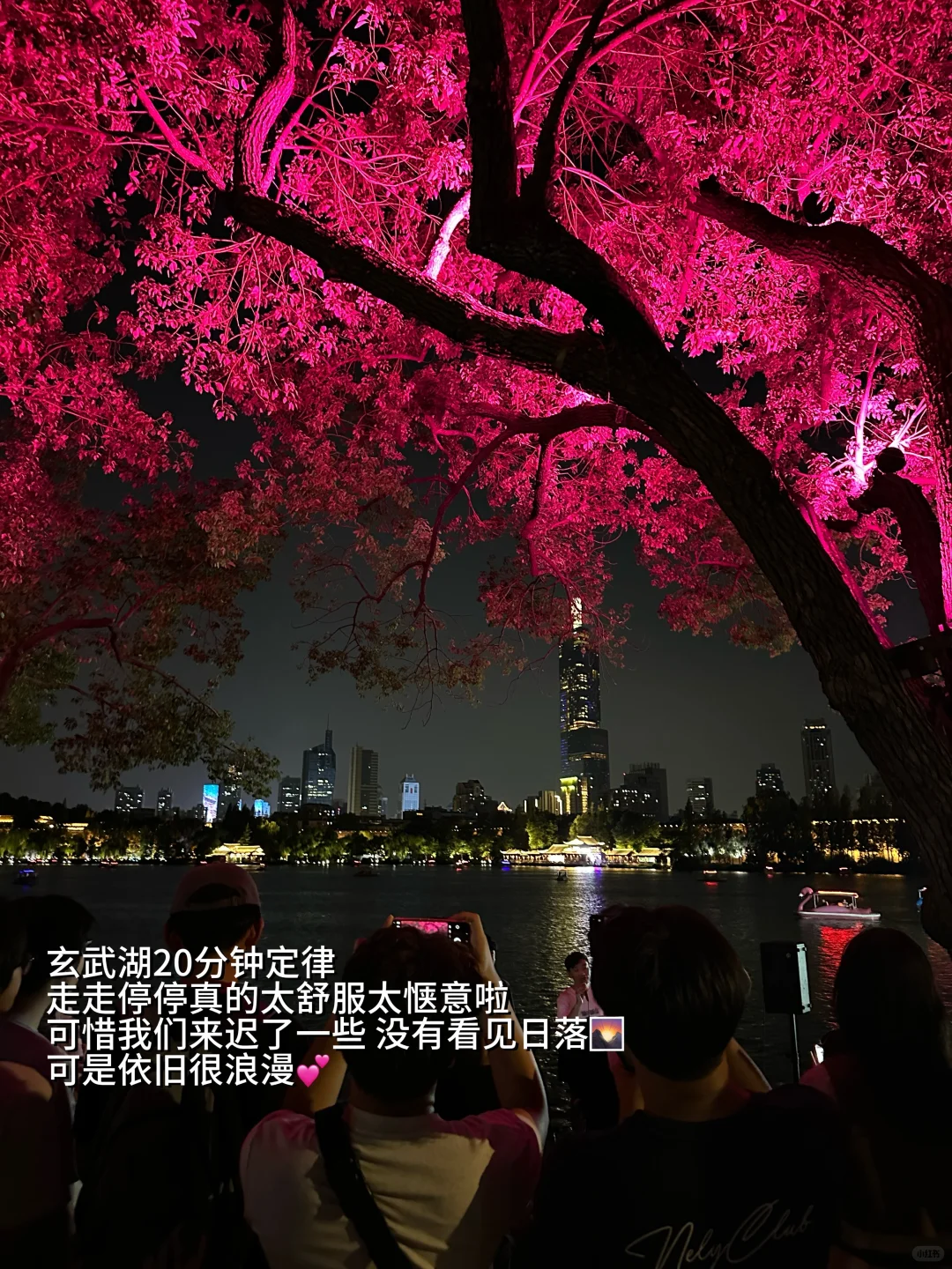 我在去南京旅游的高铁上……plog