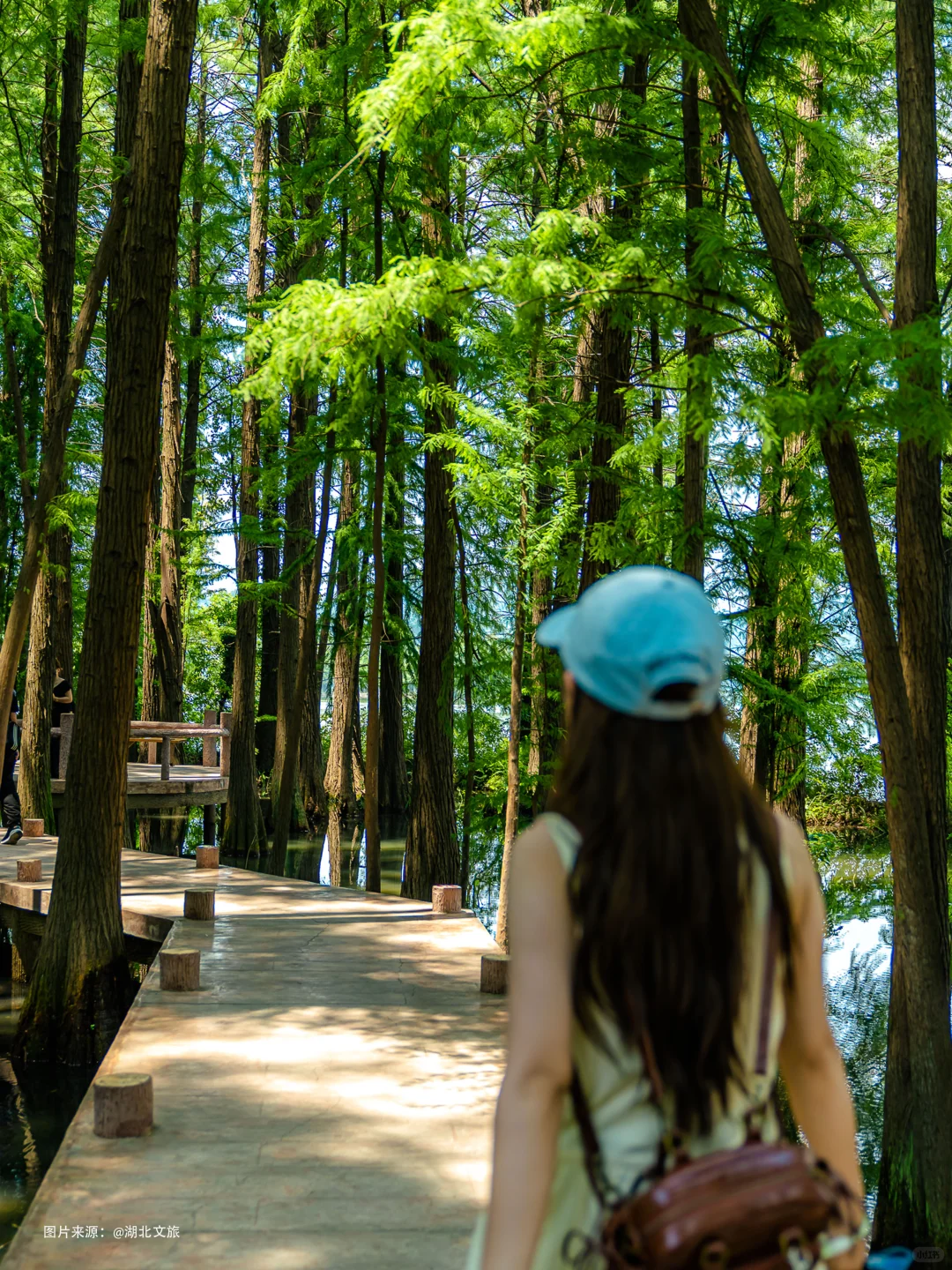 东湖落雁，就是个巨大的绿色能量场🌿