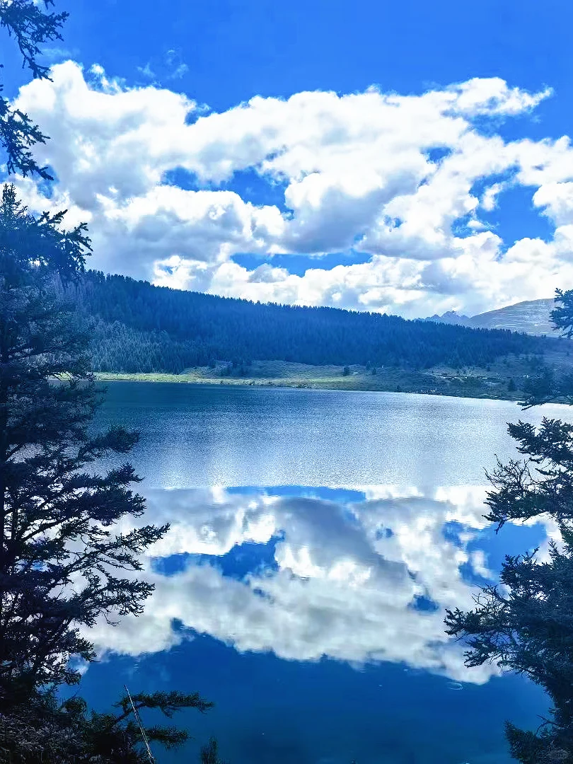 我宣布❗这是四川最美草原⛰️浪漫又治愈～