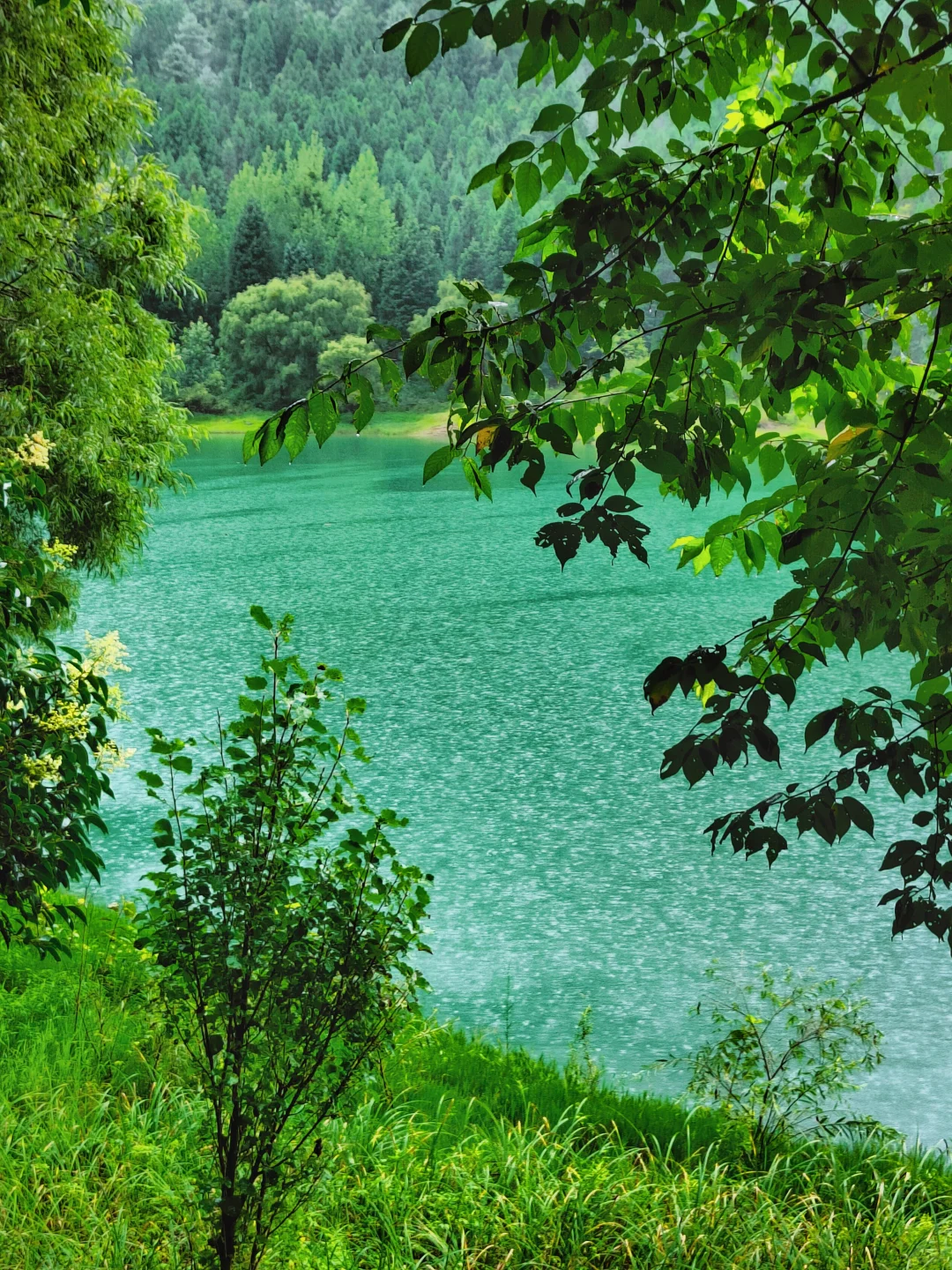 六盘水最惊喜的免费景点